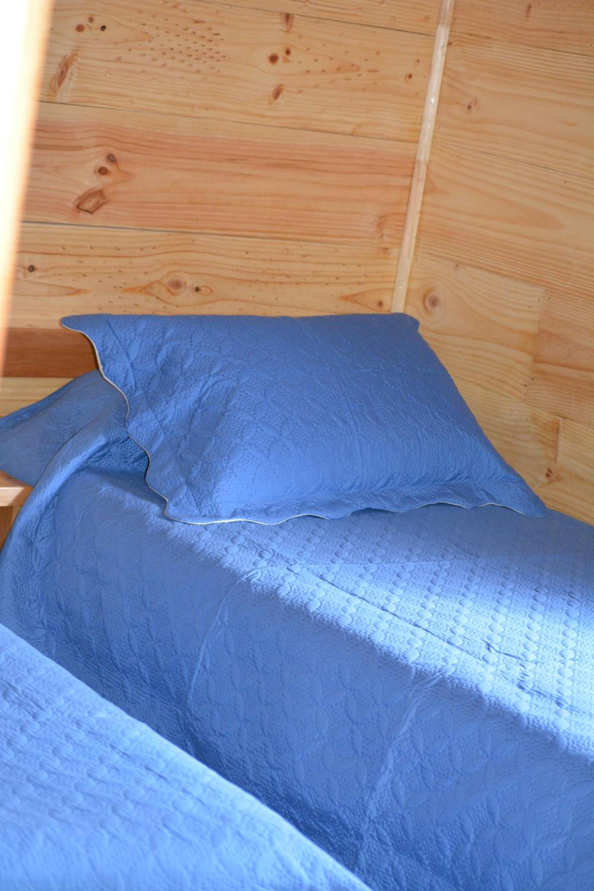 Photo 51
