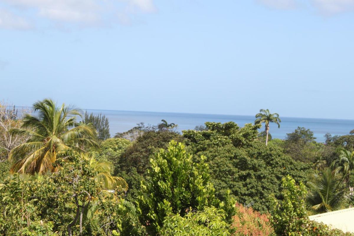 Coeur Caraibes