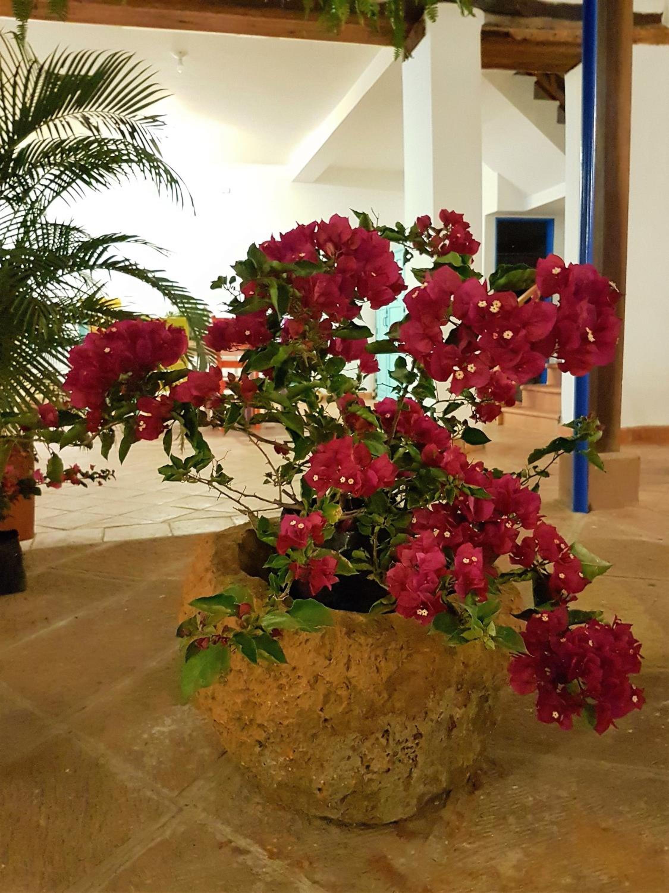 Meraki Boutique Hostel
