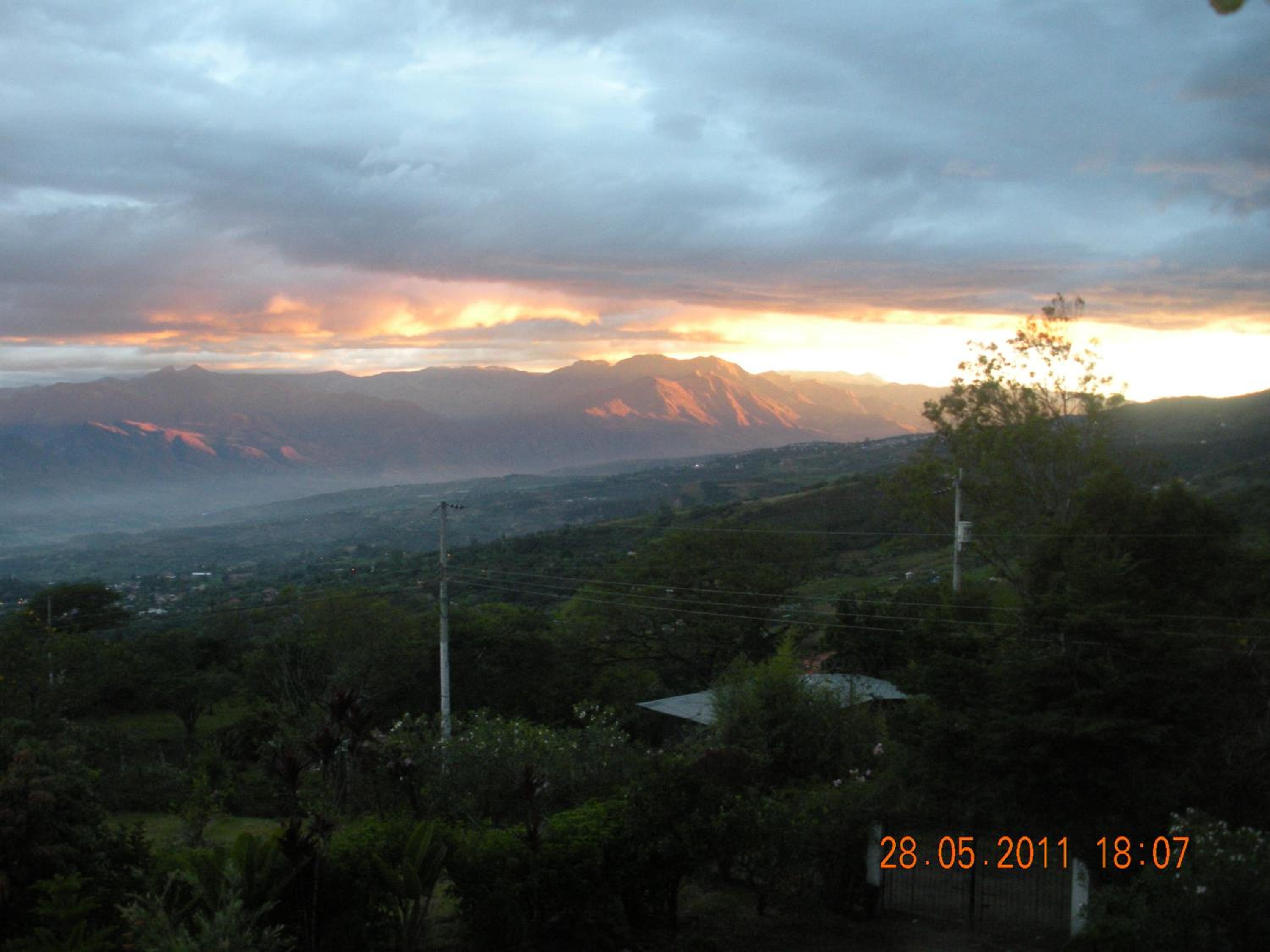 Photo 29