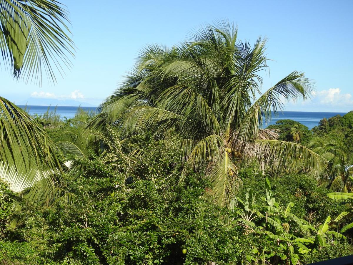 Coeur Caraibes