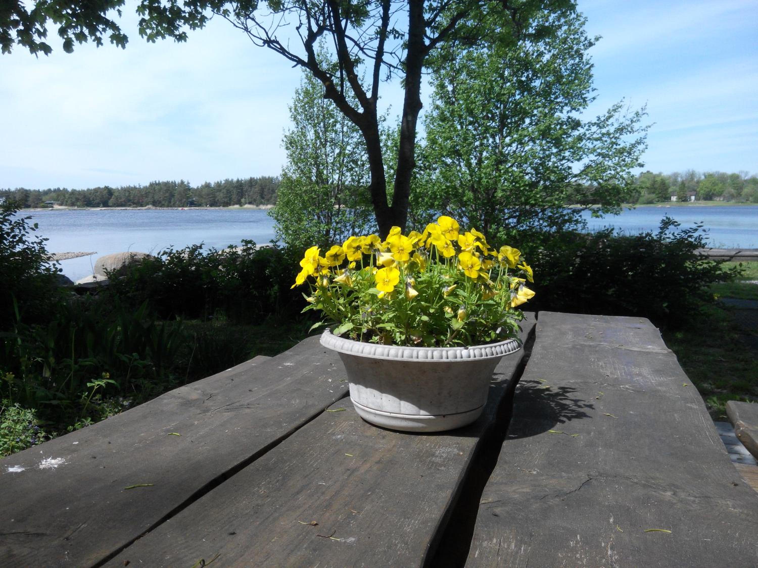Kapteni Holiday House