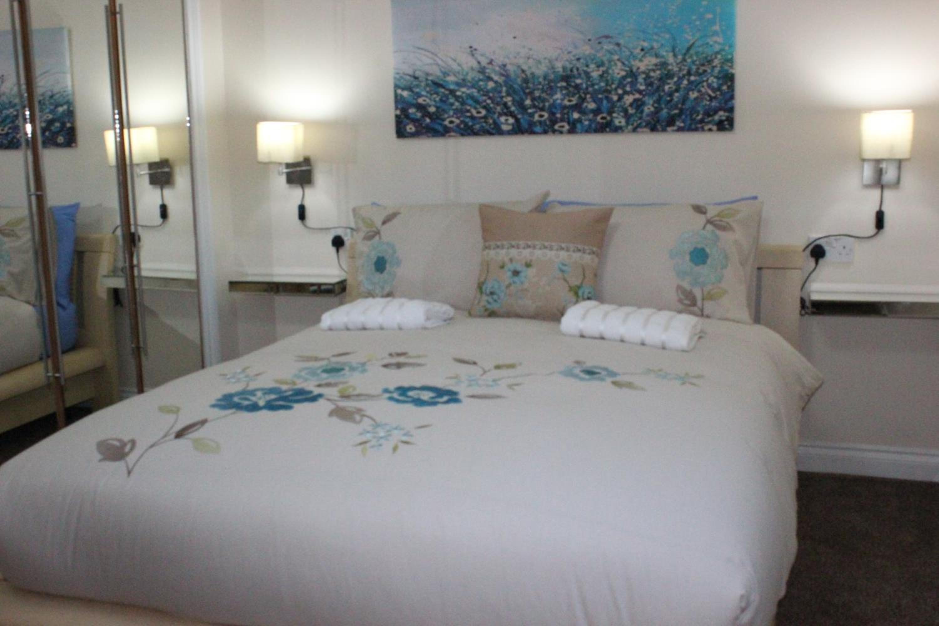Edinburgh City Luxury Apartment Spectrum view 4