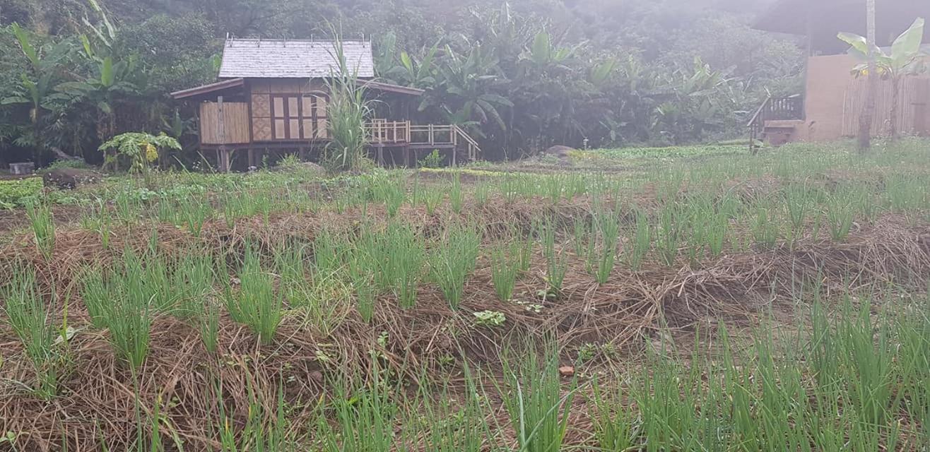 Namkat Yorla Pa Resort