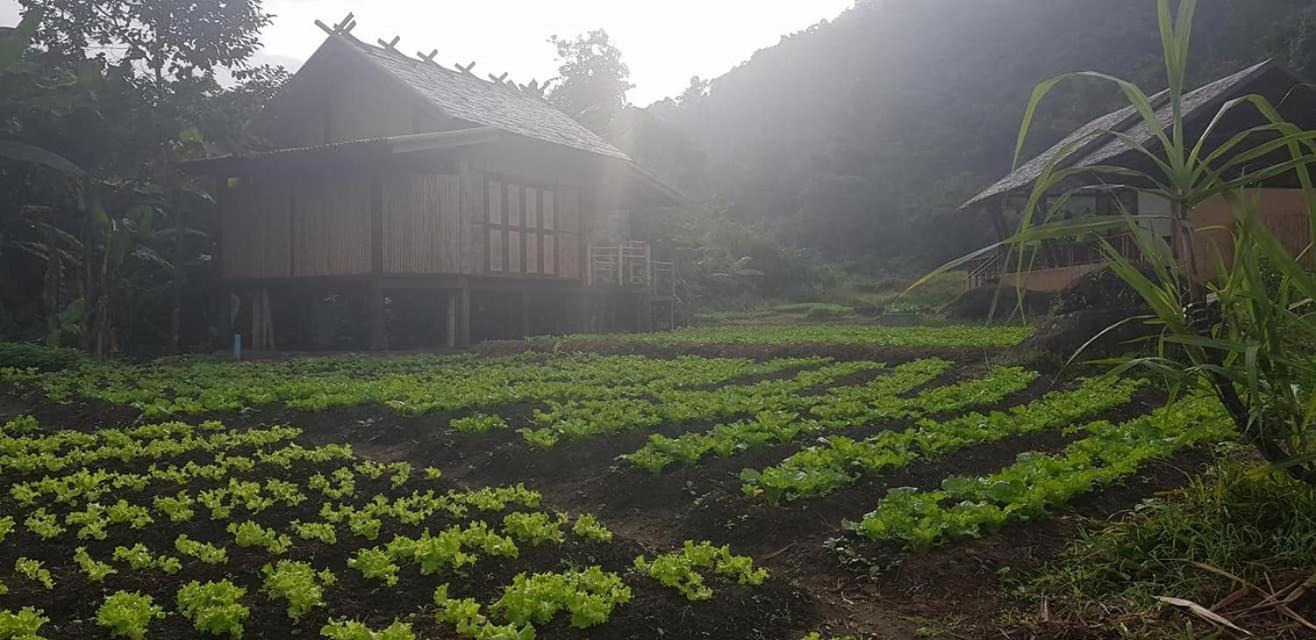 Namkat Yorla Pa Resort