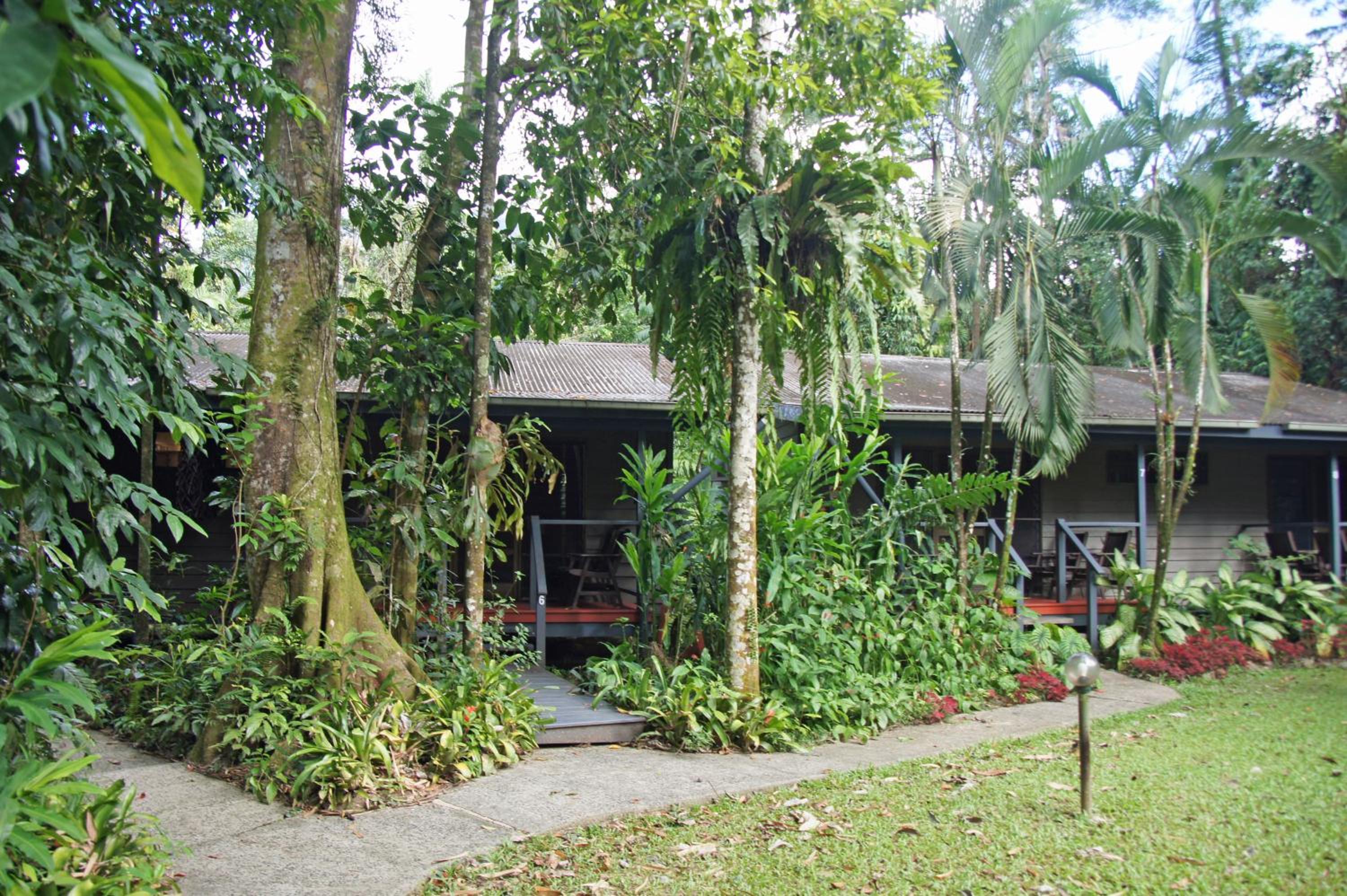 Heritage Lodge - in the Daintree view 5