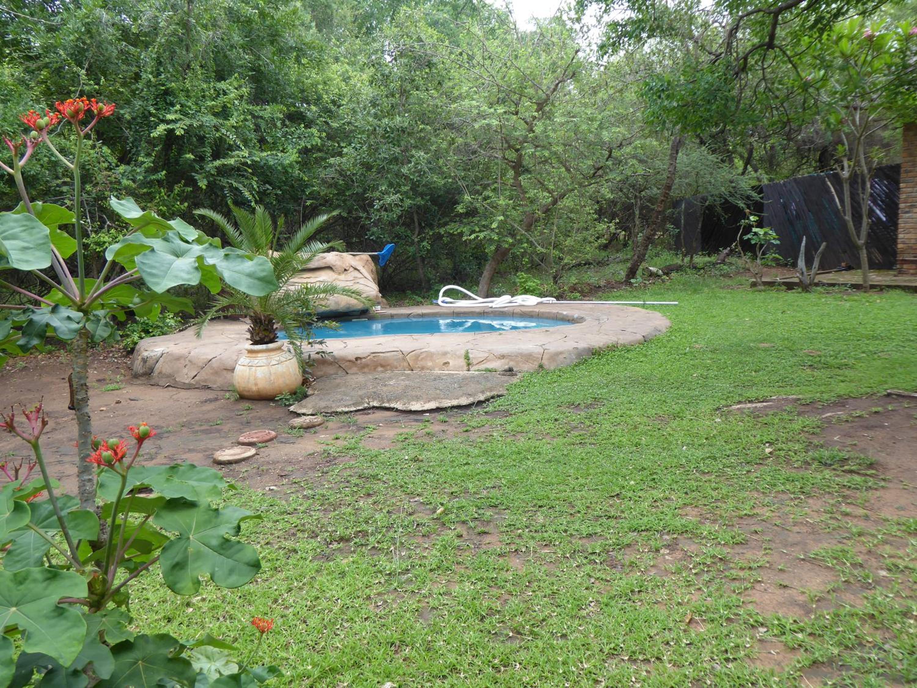 Kruger Safari Animal Encounter