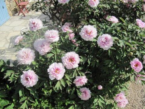 Photo 49