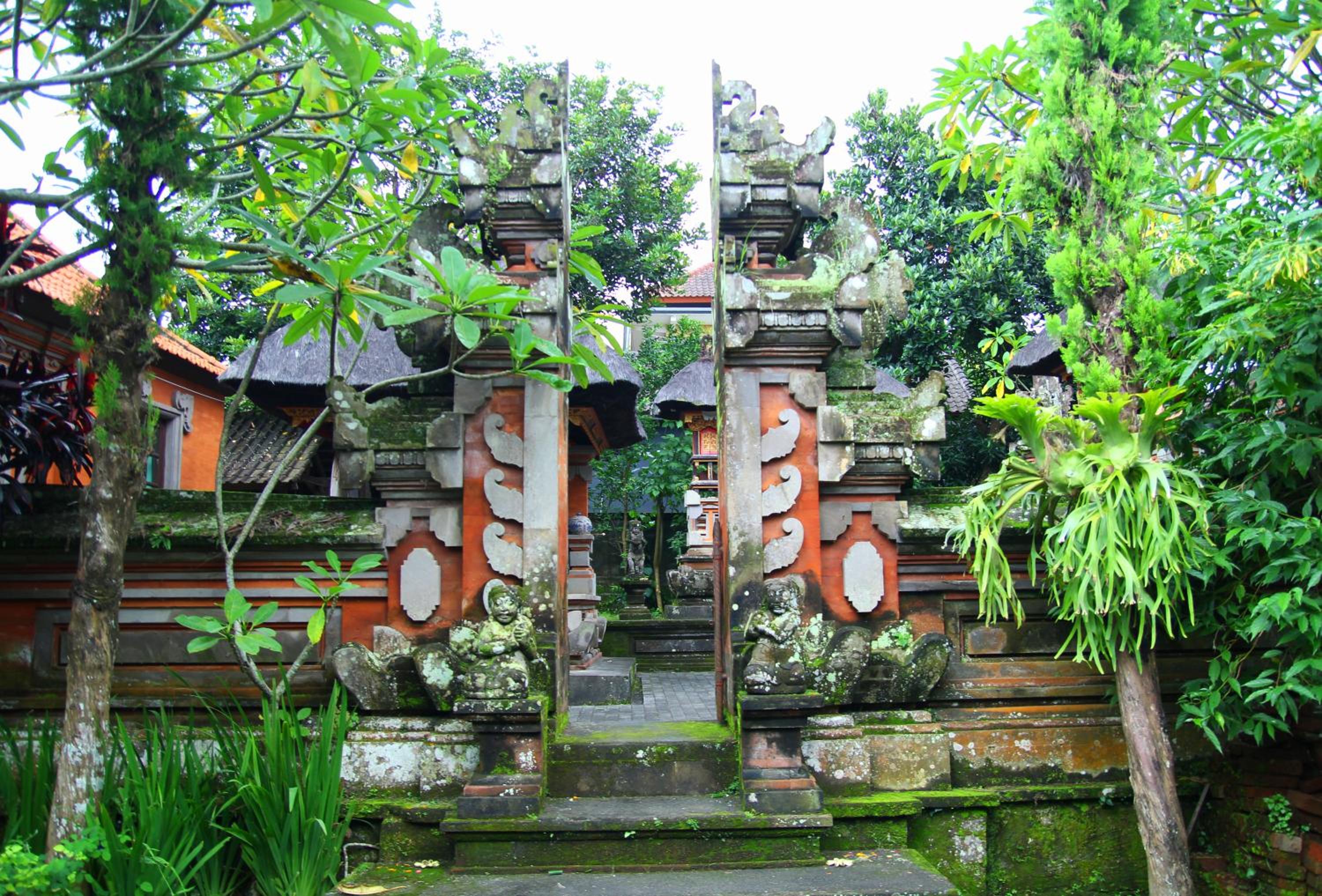 Photo 16