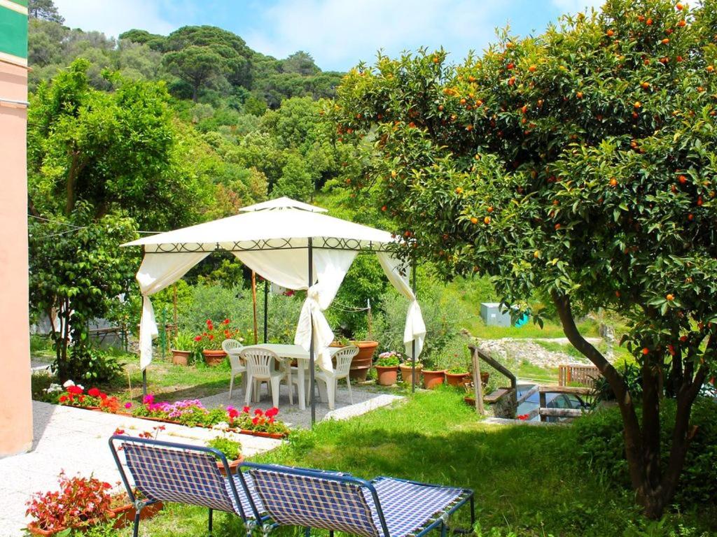Appartamento di Prestigio- Cà da Lina - Deiva Marina view 4