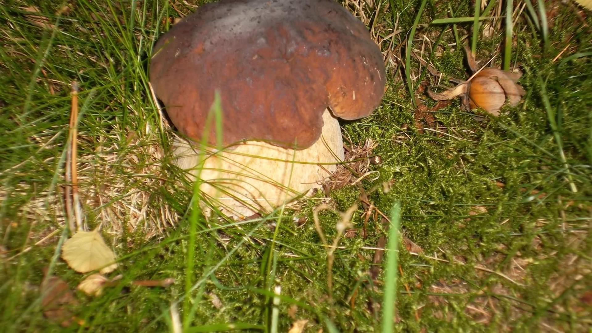 Photo 14