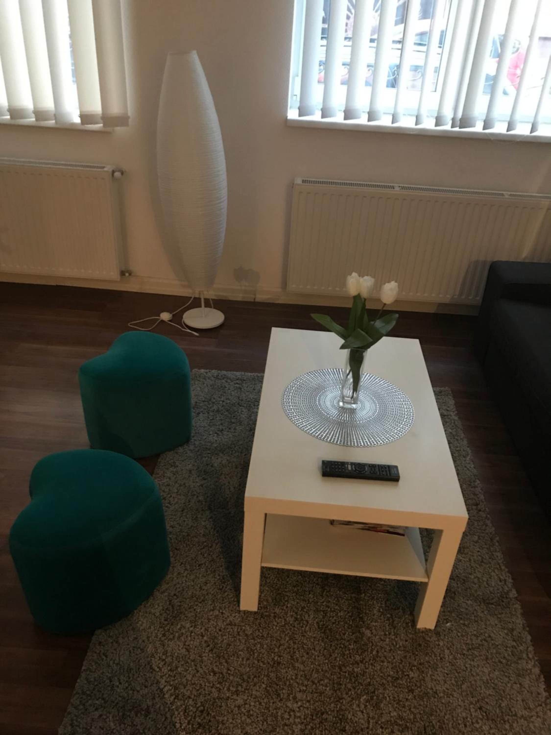 Zichy 34 Apartment view 4