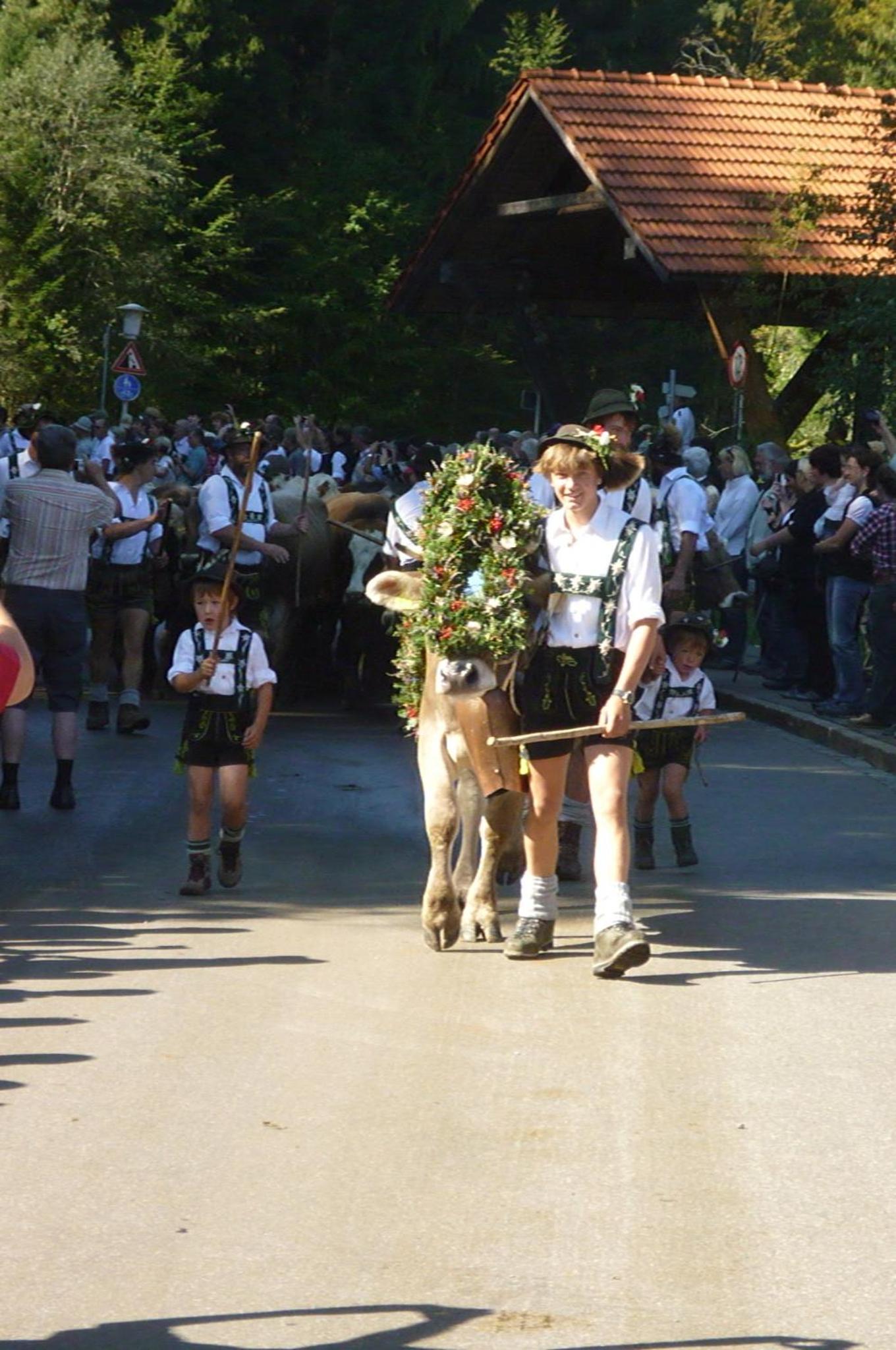 Photo 15