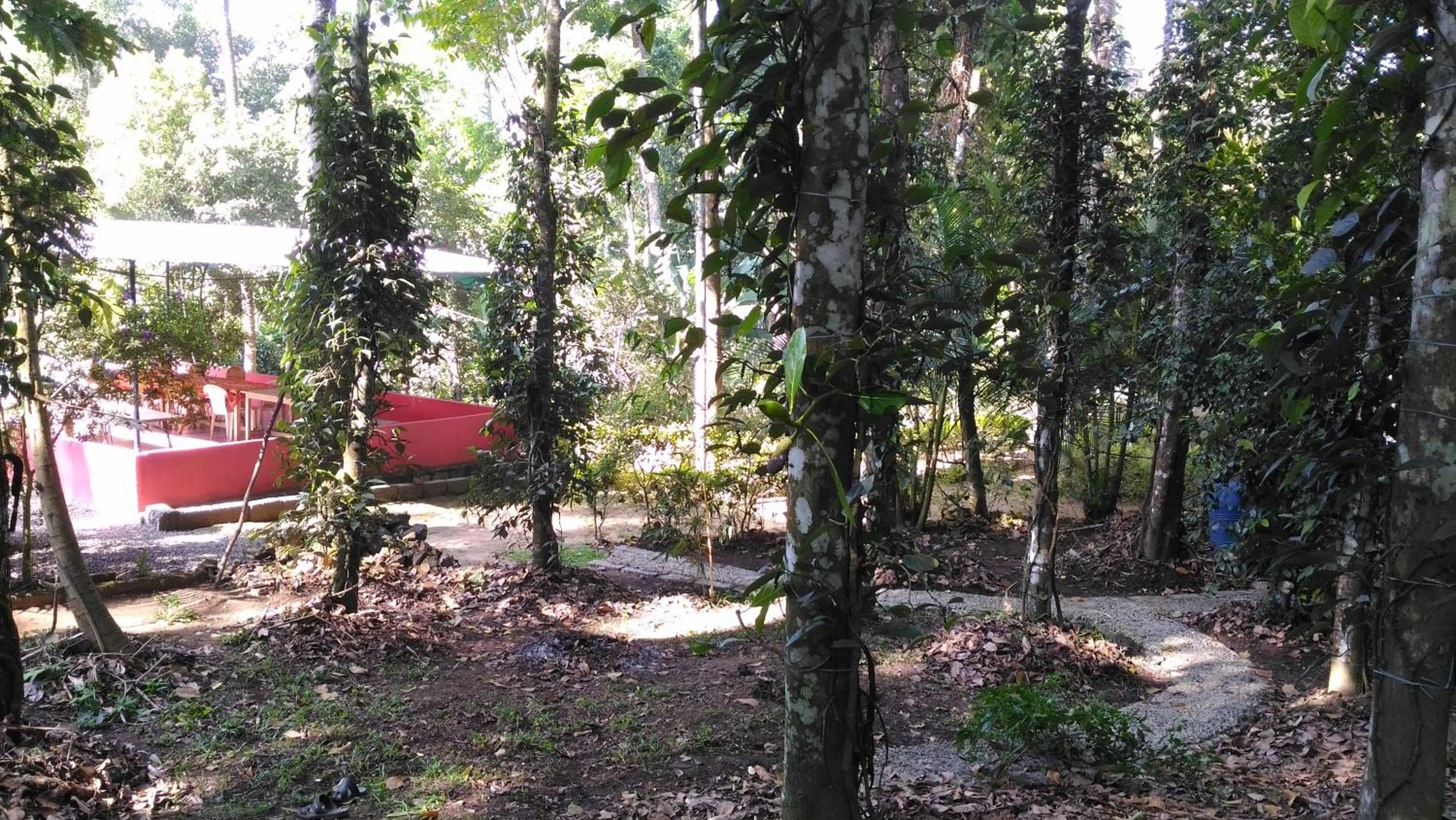 Photo 17