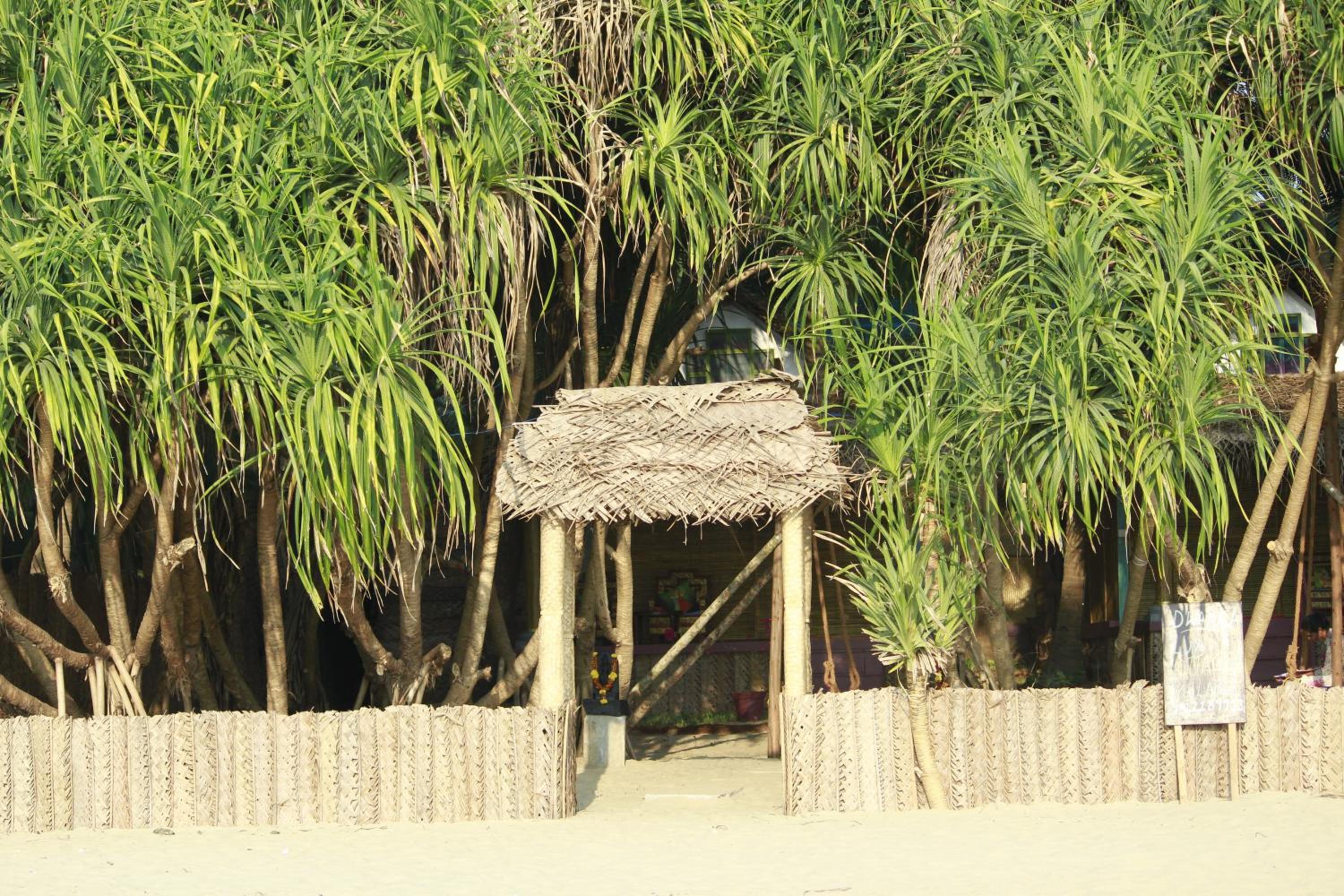 Photo 17