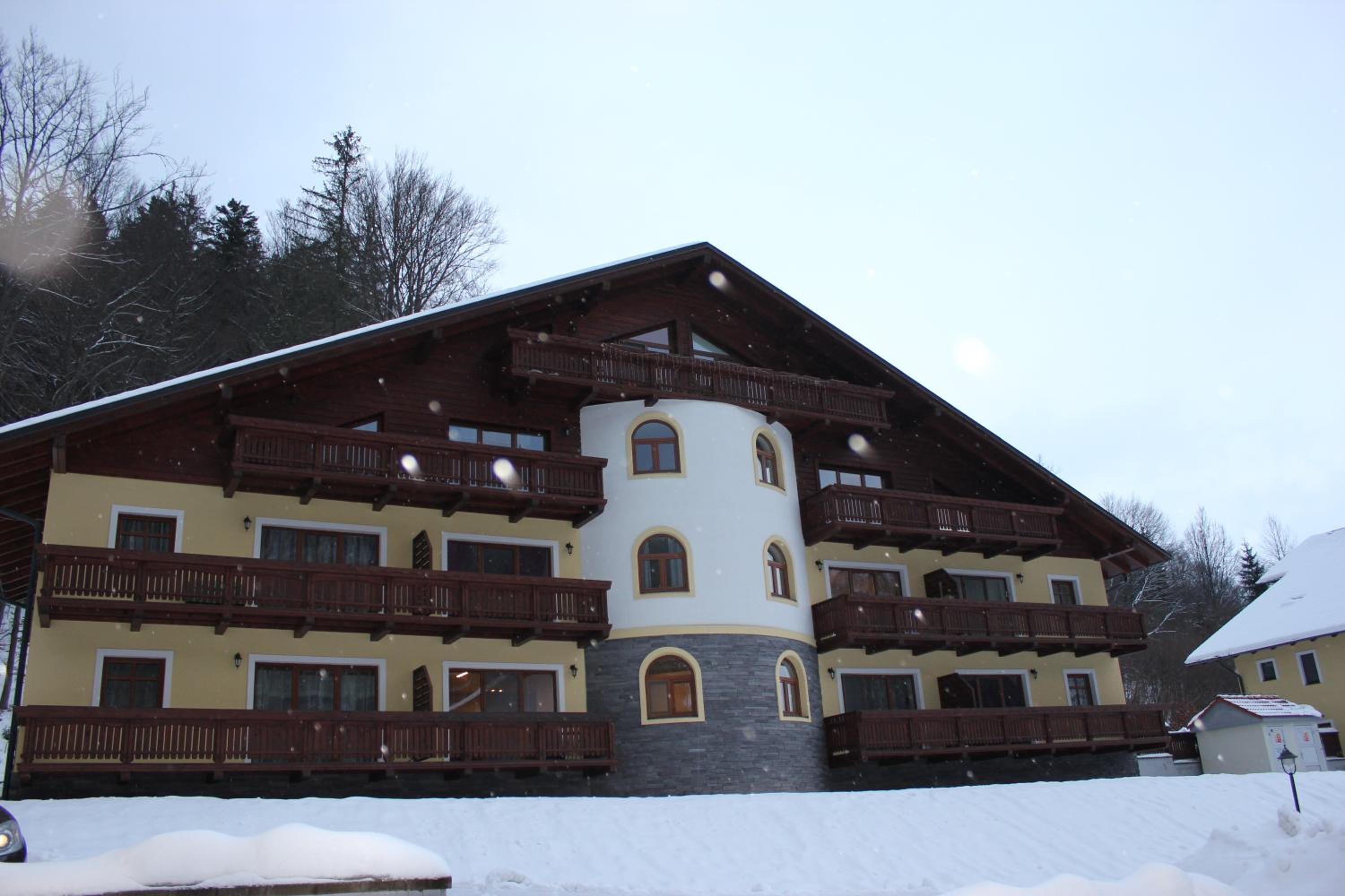 Photo 41