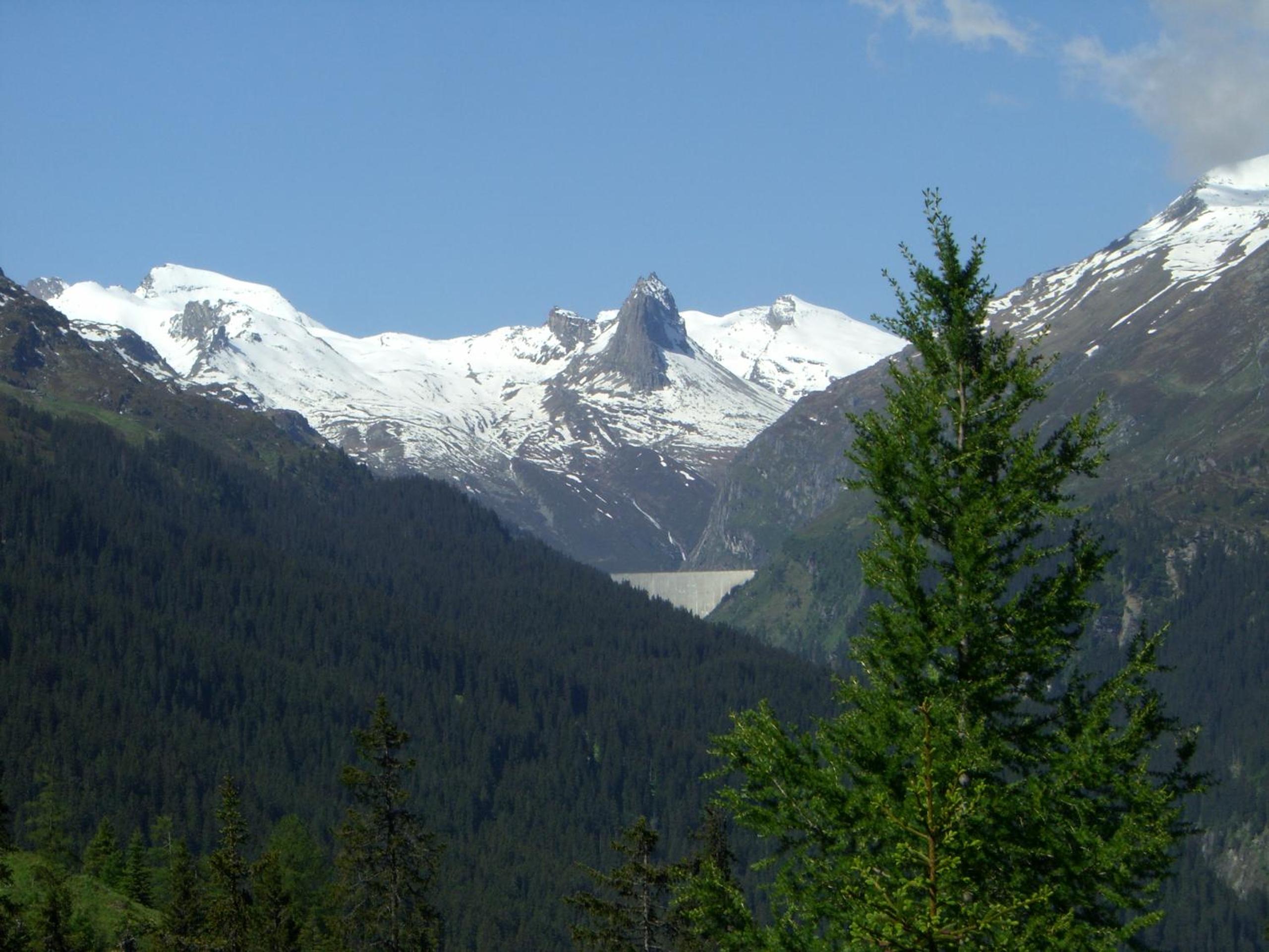 Photo 31