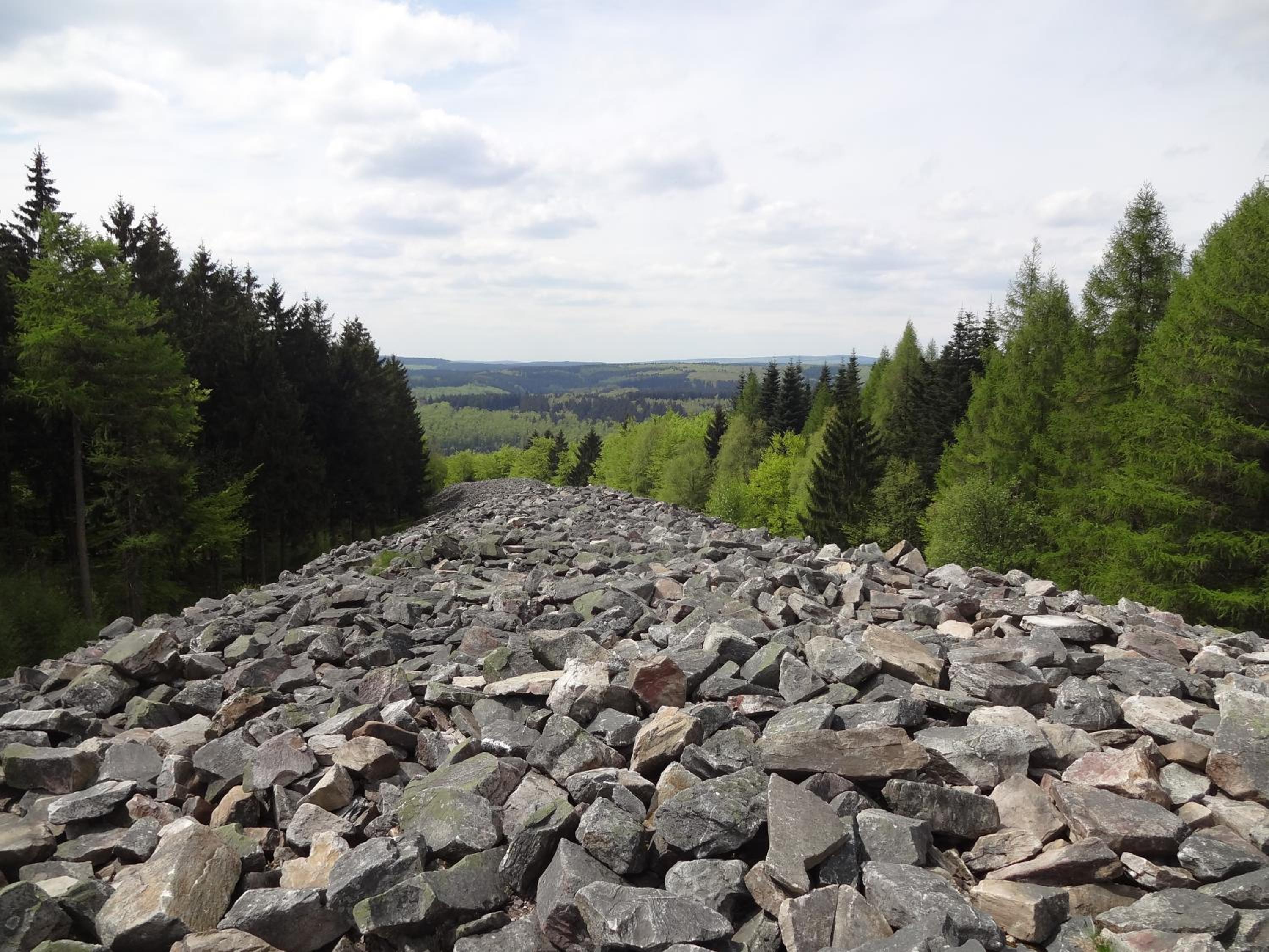 Ferienwohnung Hochwald