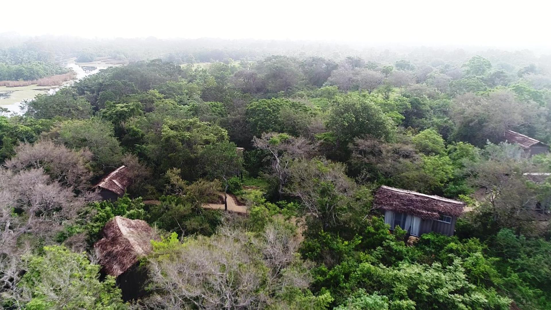 The Backwaters Lodge