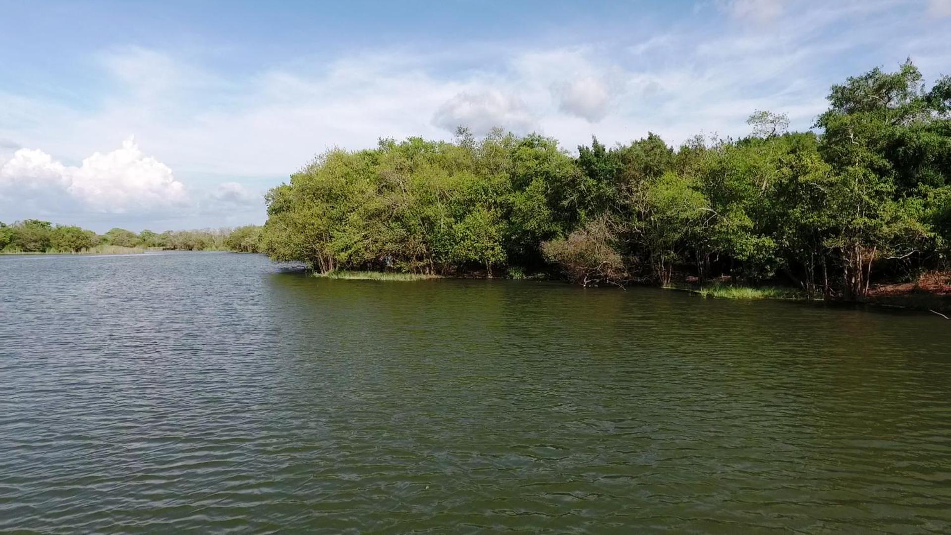 The Backwaters Lodge