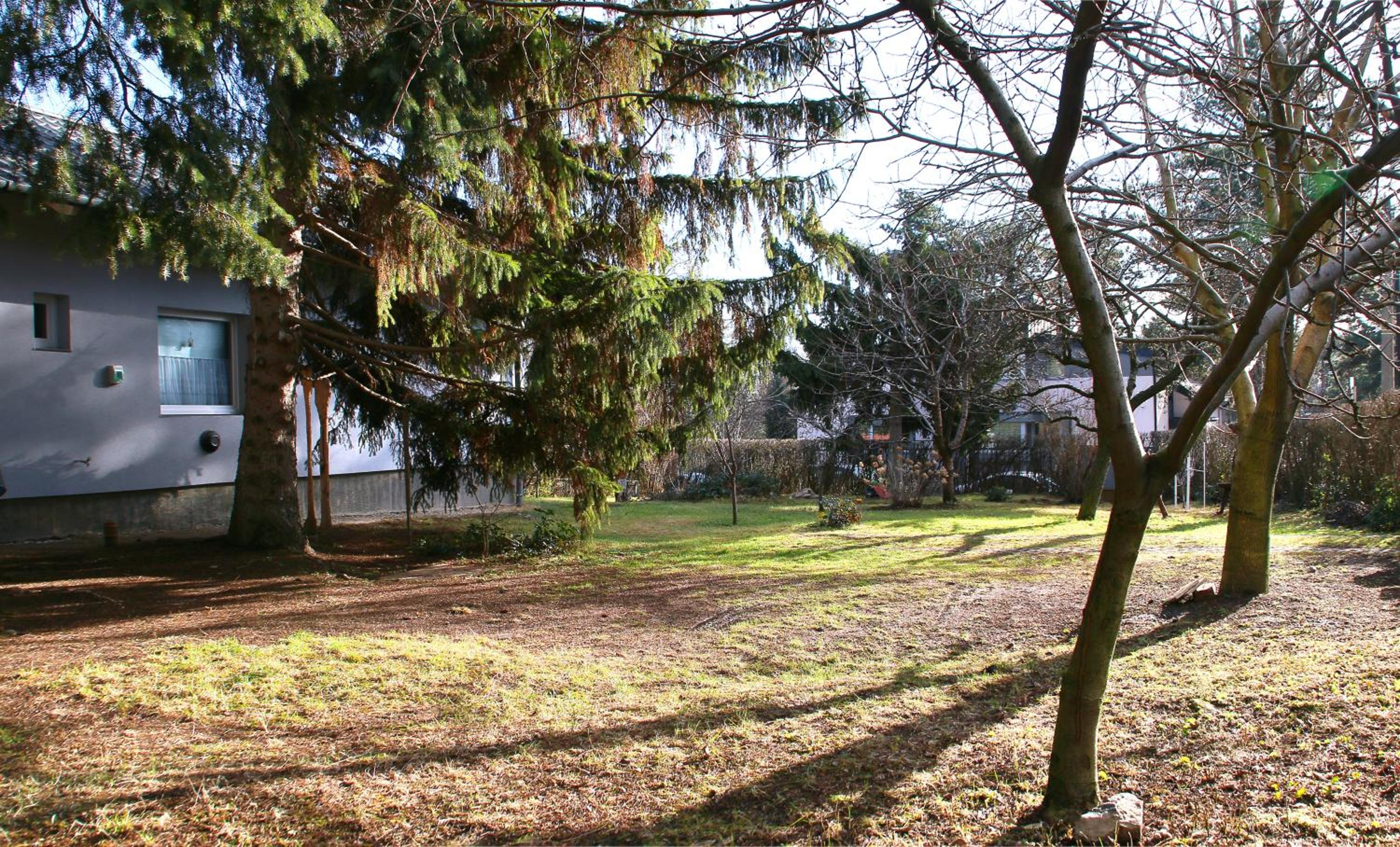 Photo 30