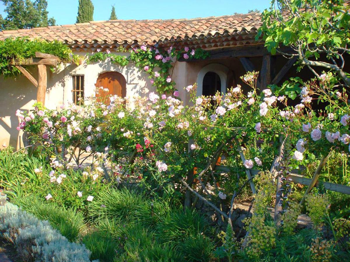 Villa Elaiza view 5