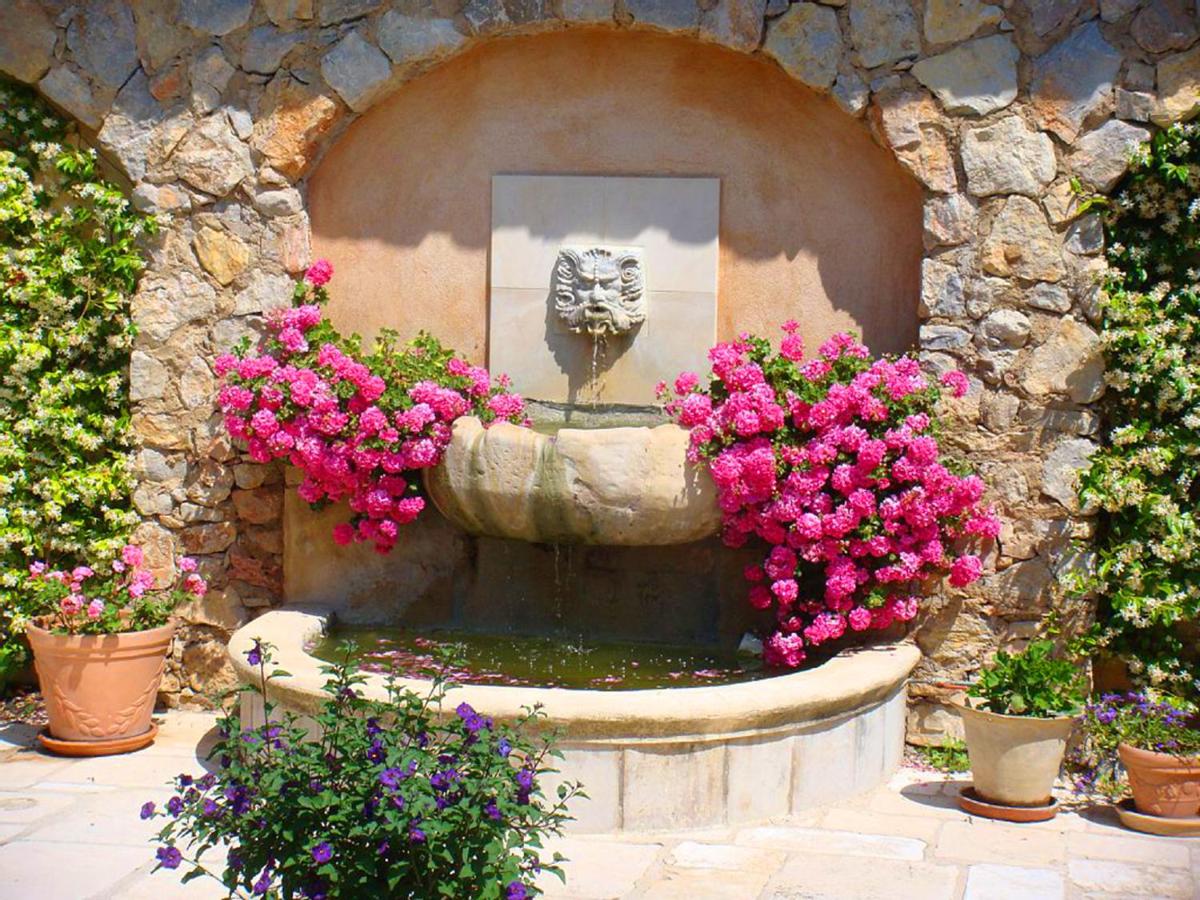 Villa Elaiza view 4