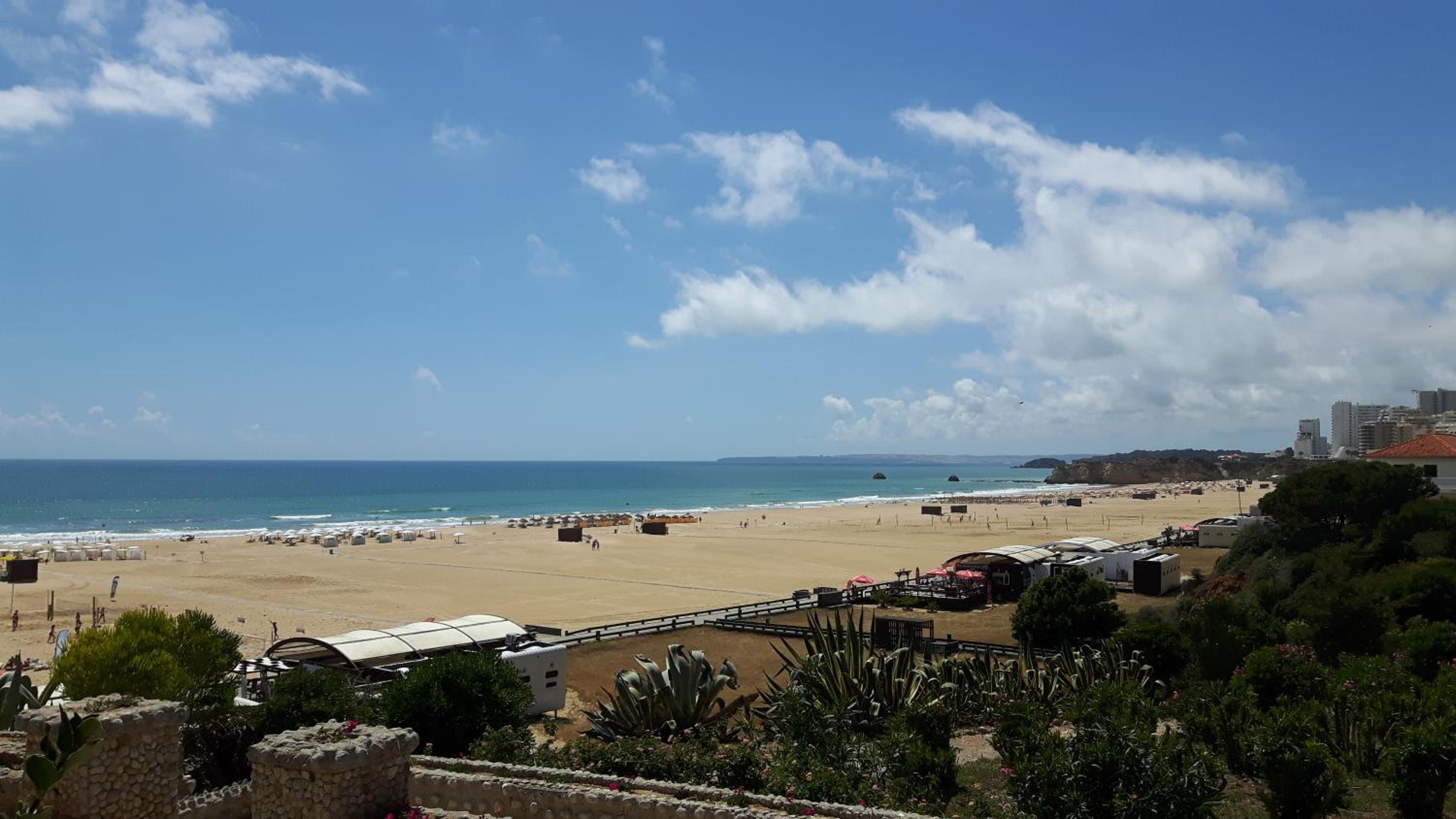 Rocha Apartment view 4