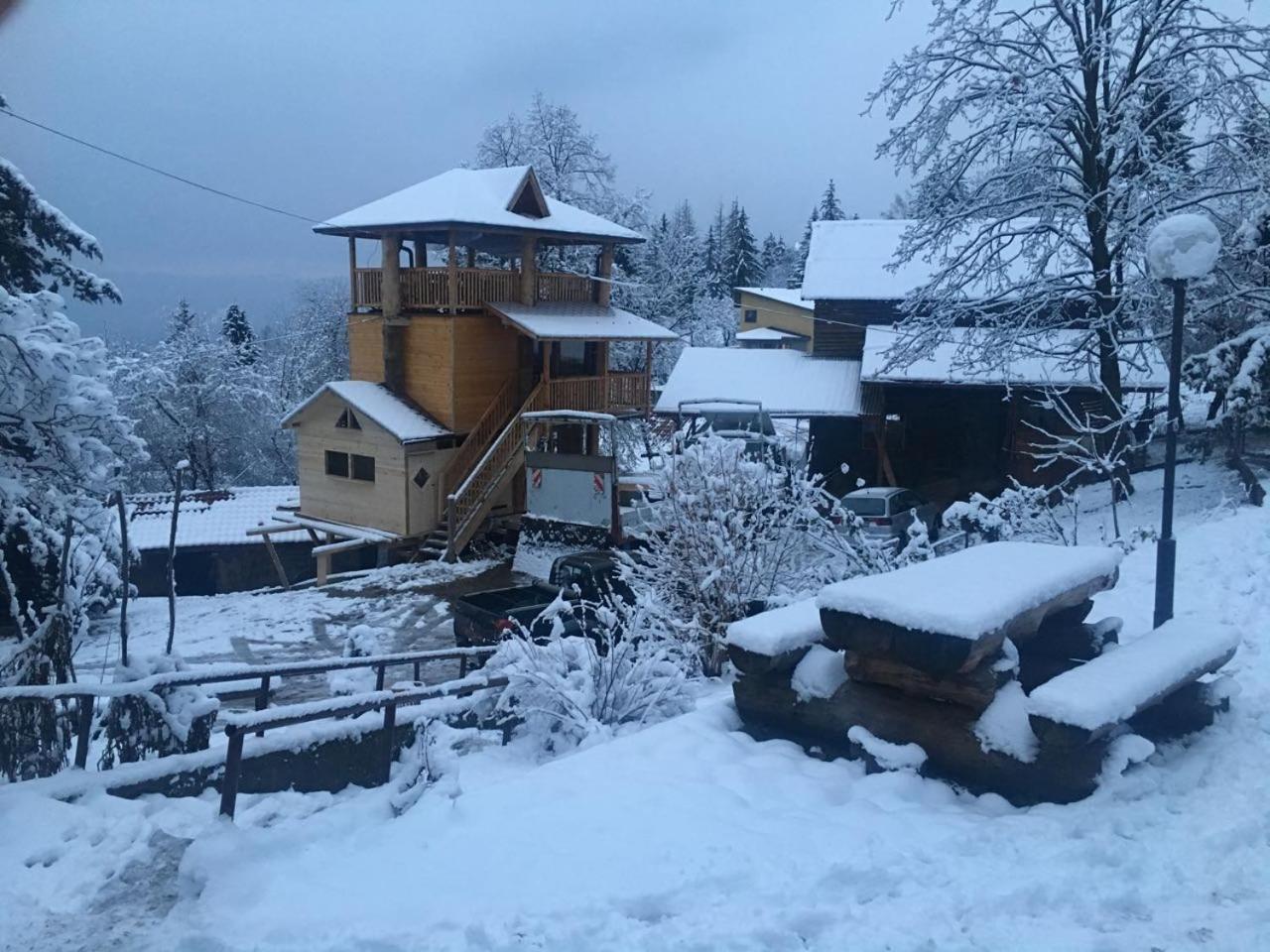 Tree House view 2
