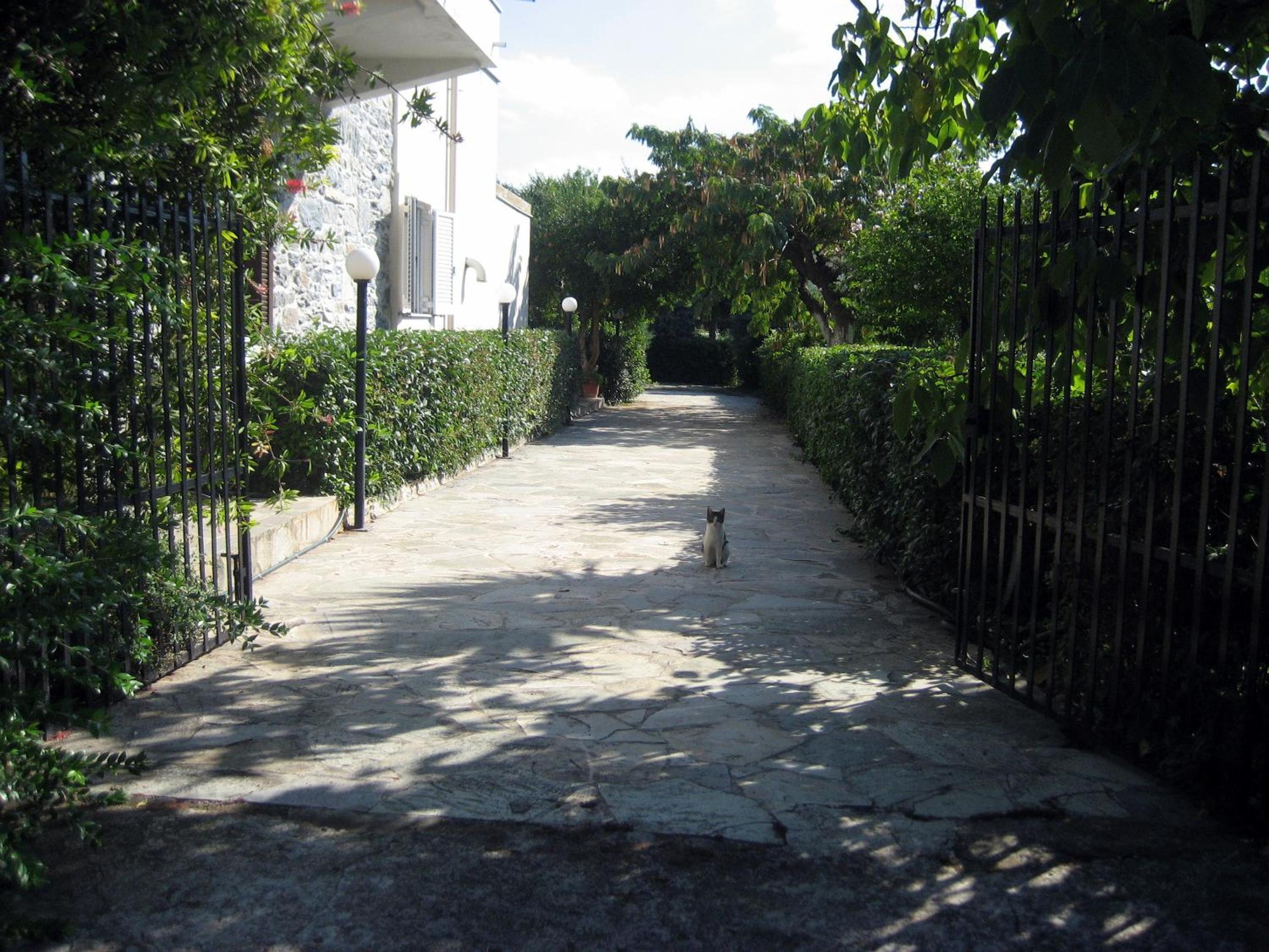 Photo 24