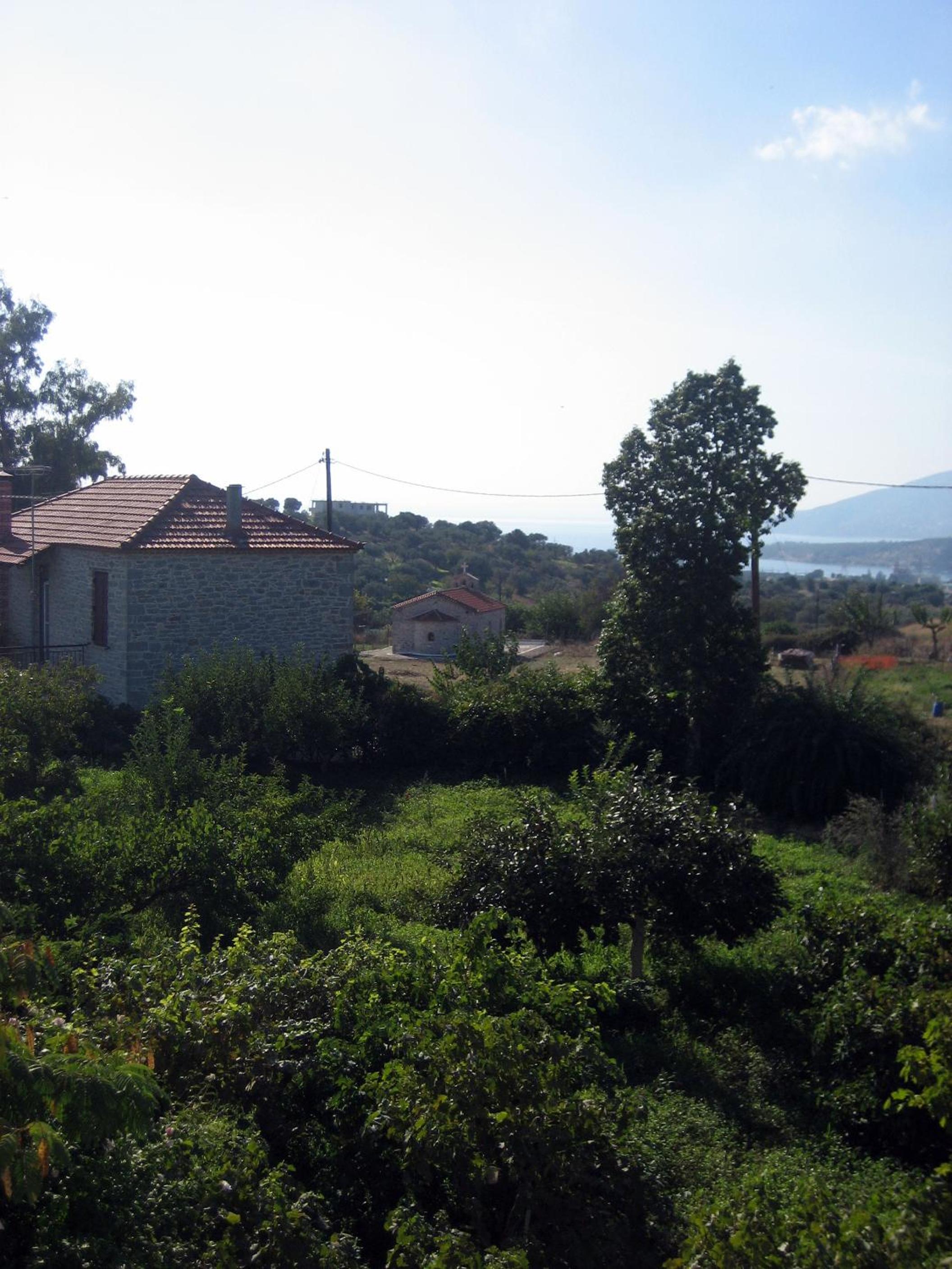 Photo 28