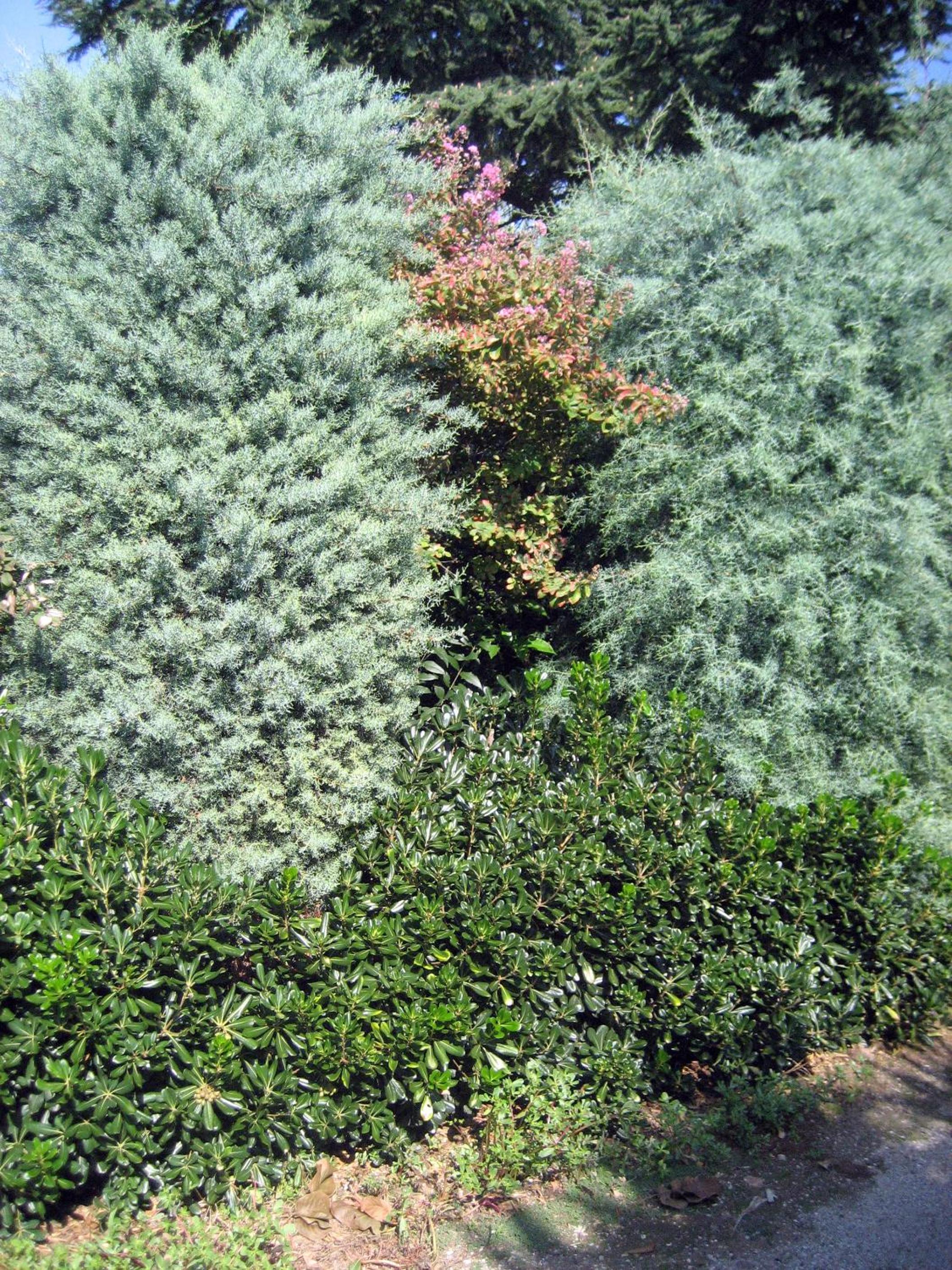 Photo 40