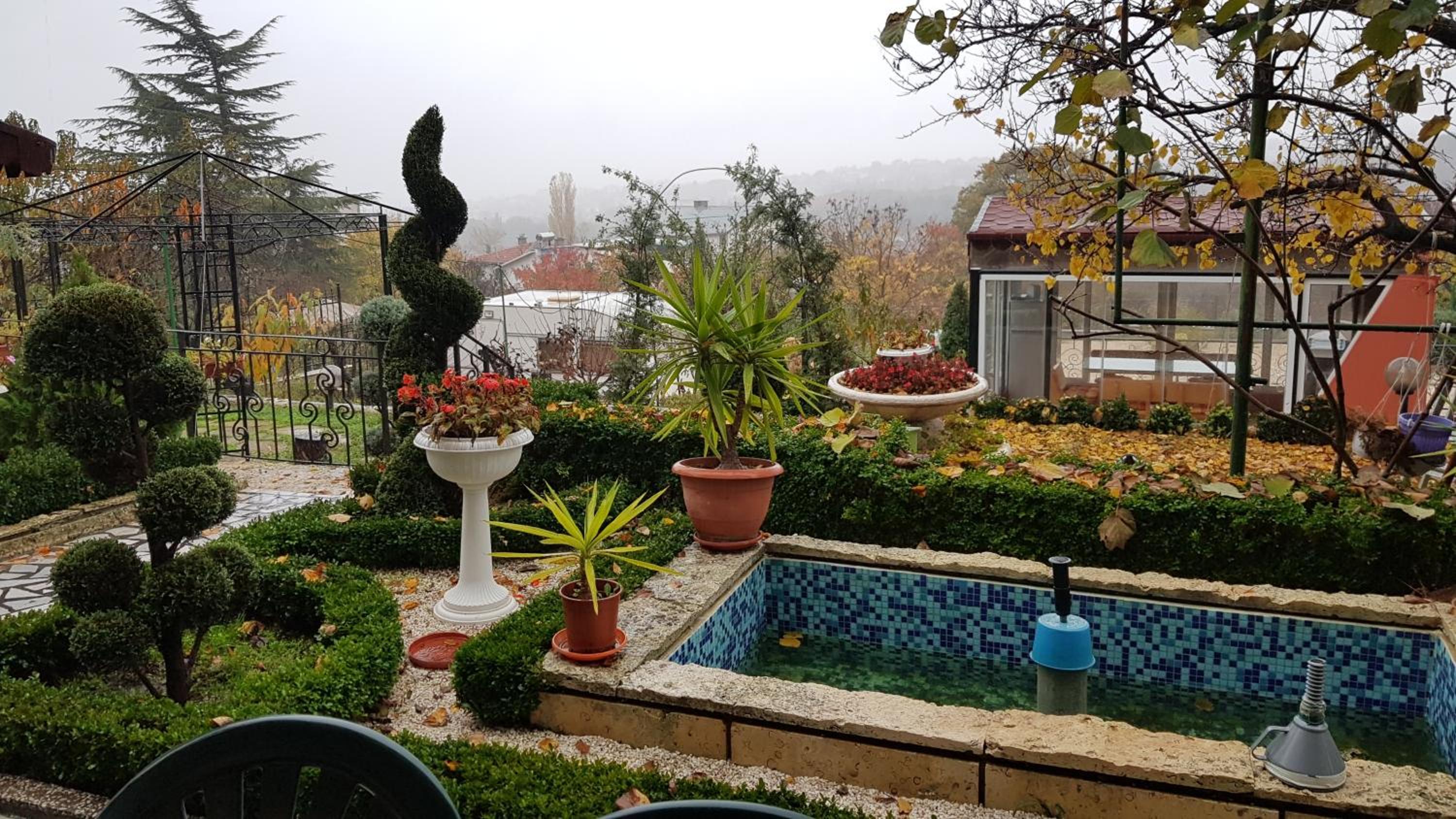 Villa Summer House