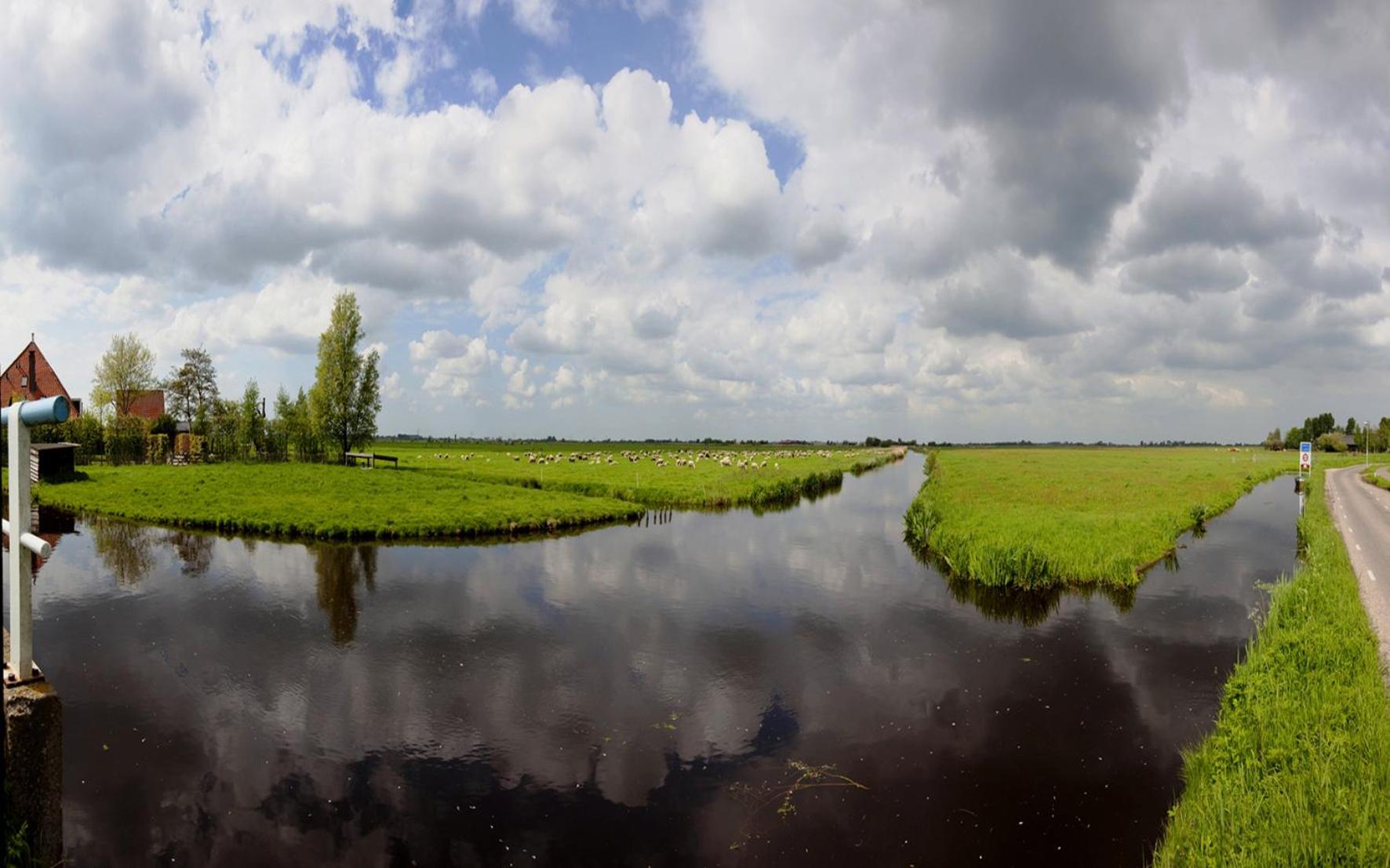 Amsterdam Farmland