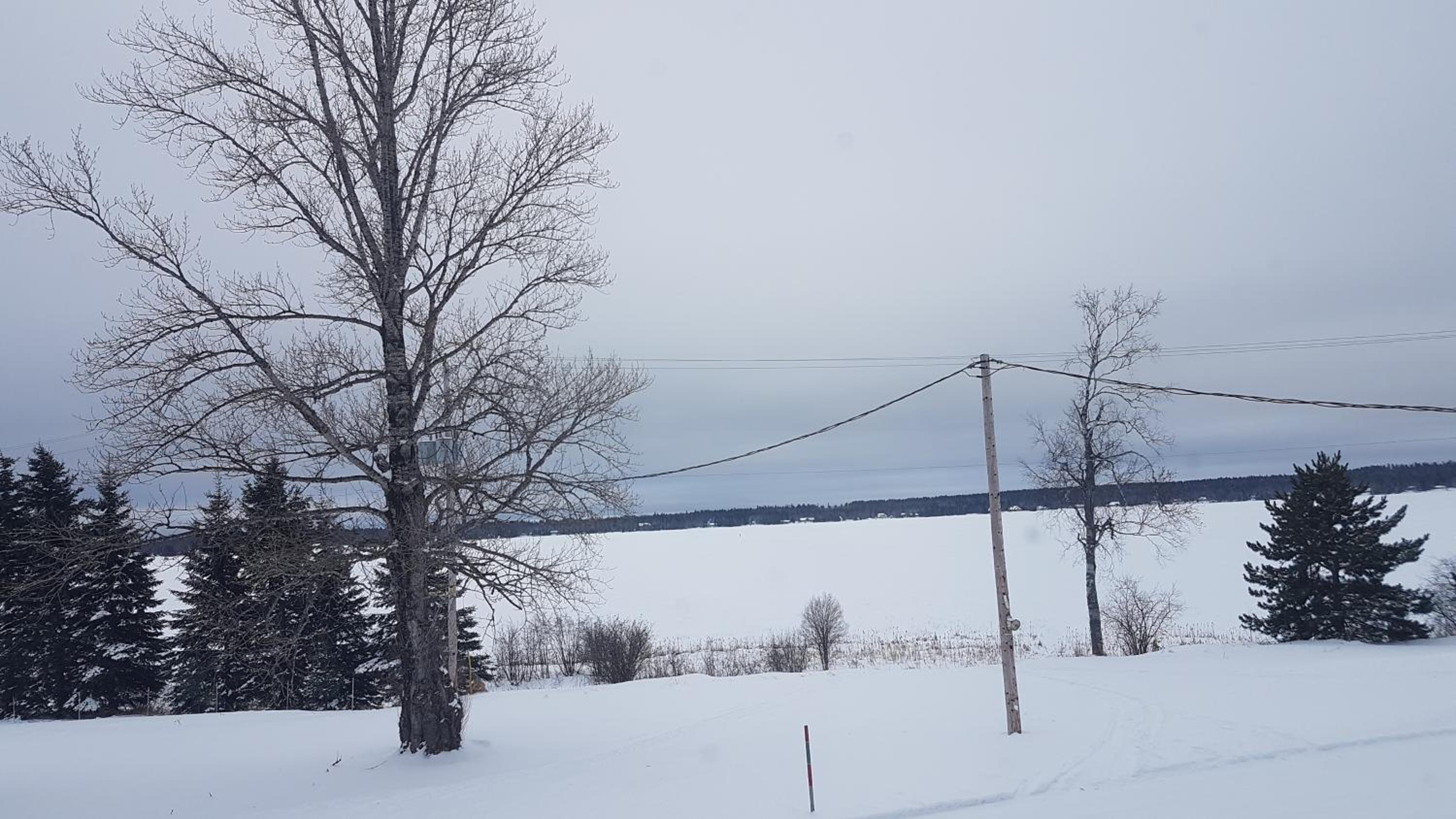 Domaine St-Viateur