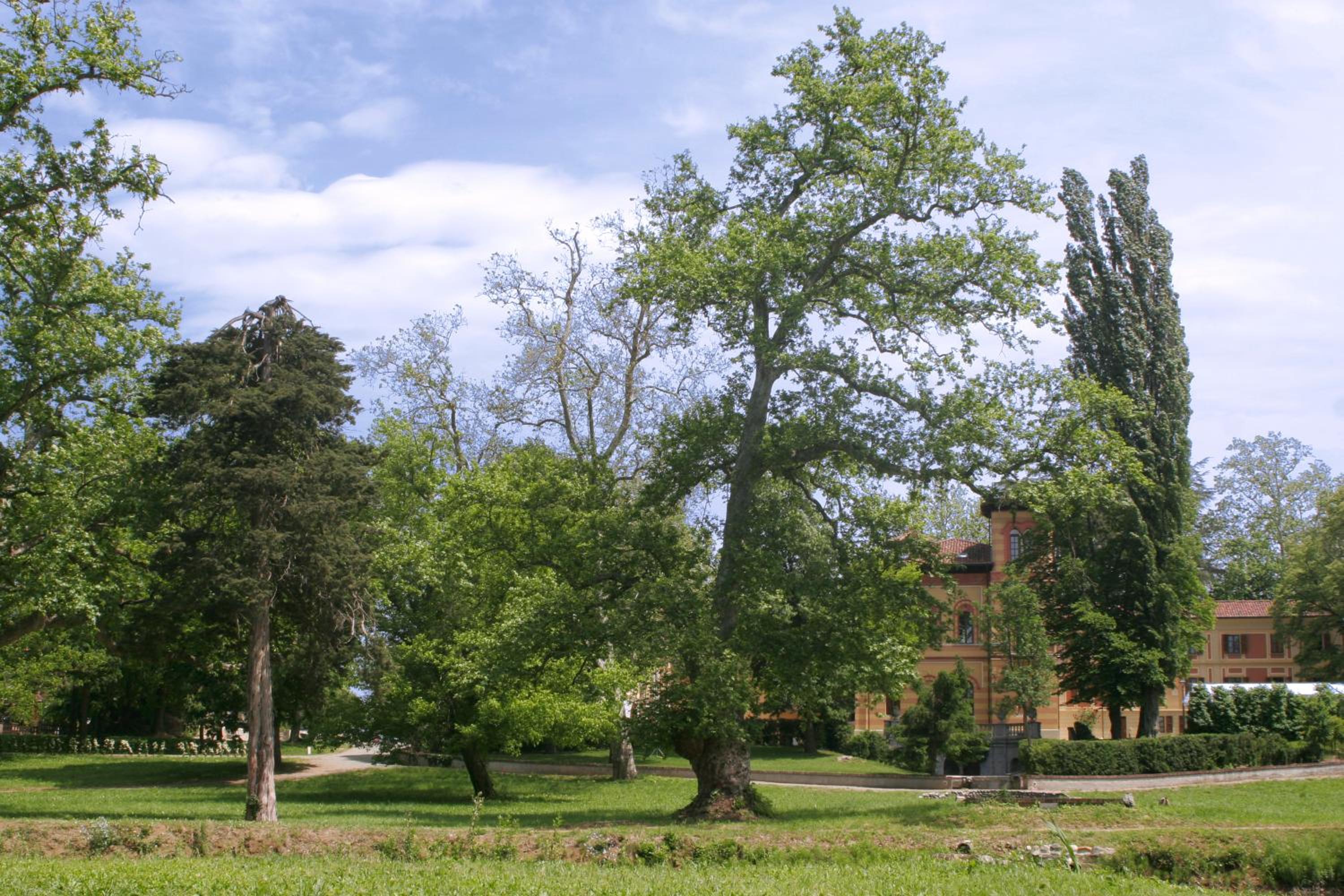 Villa Scati Bed and Breakfast