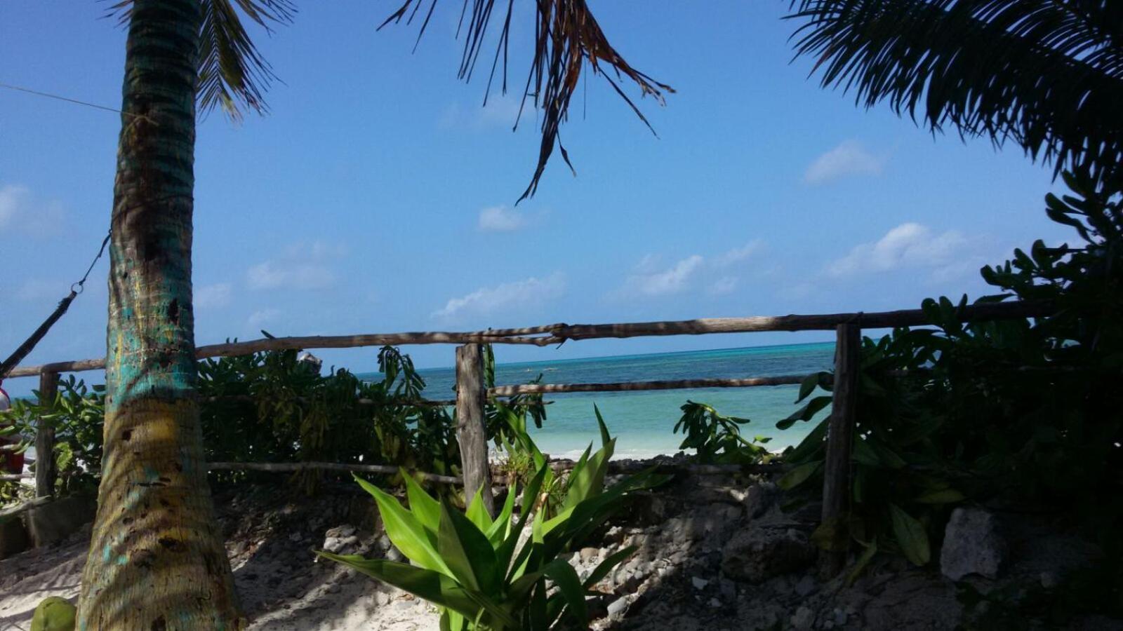 Villa Mina beachhouse