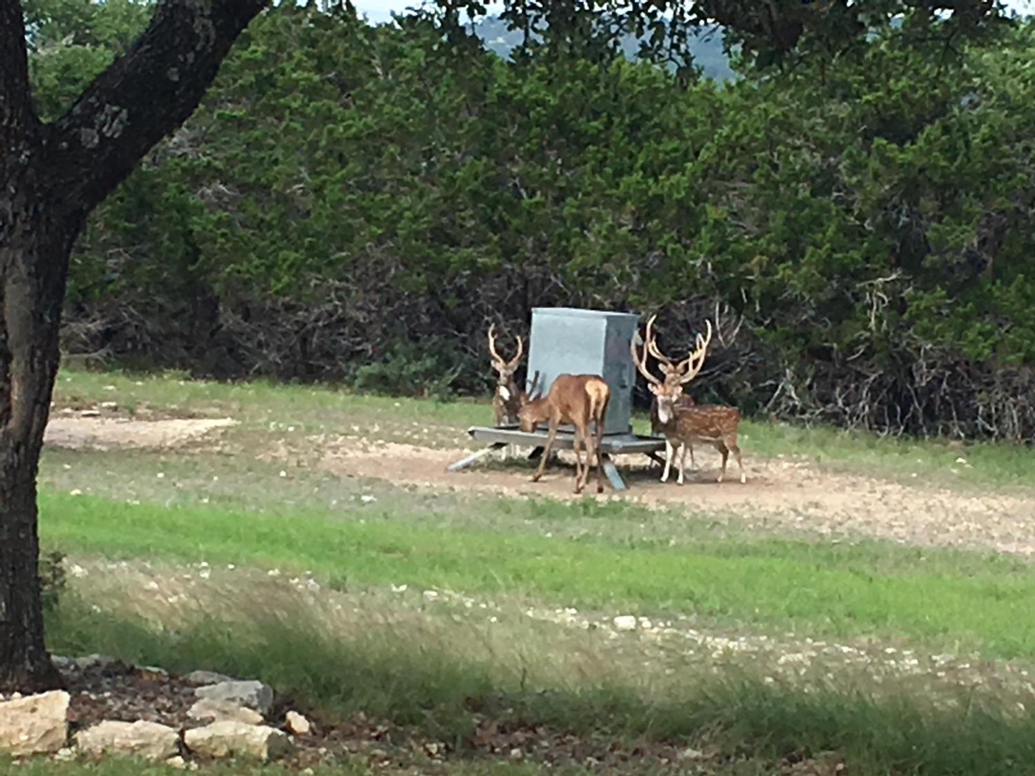 Glory Hills Ranch view 4