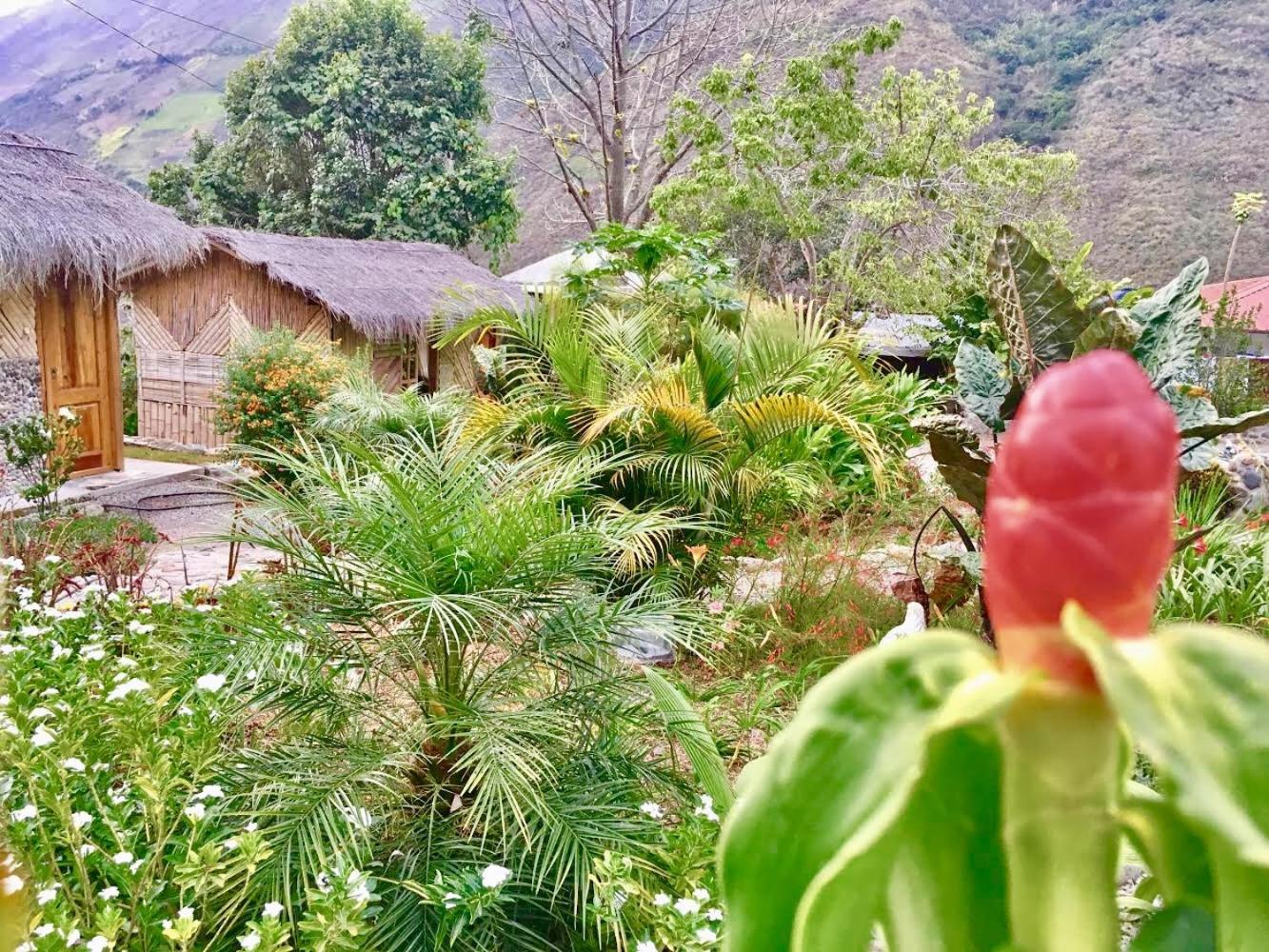 Cabañas Samay Mágico Ecolodge view 2