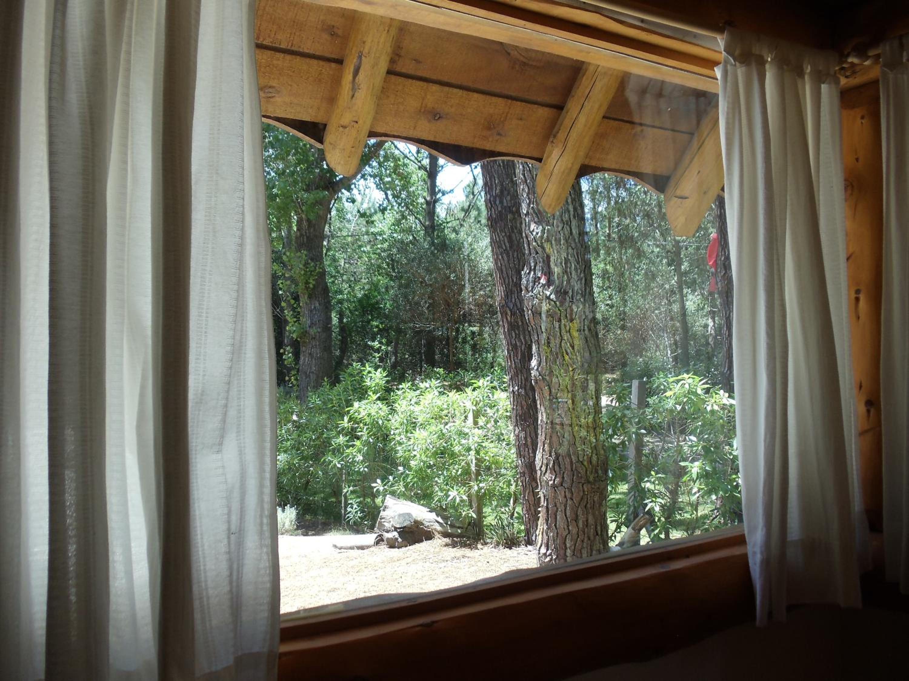 Patagonia Playa Bosque