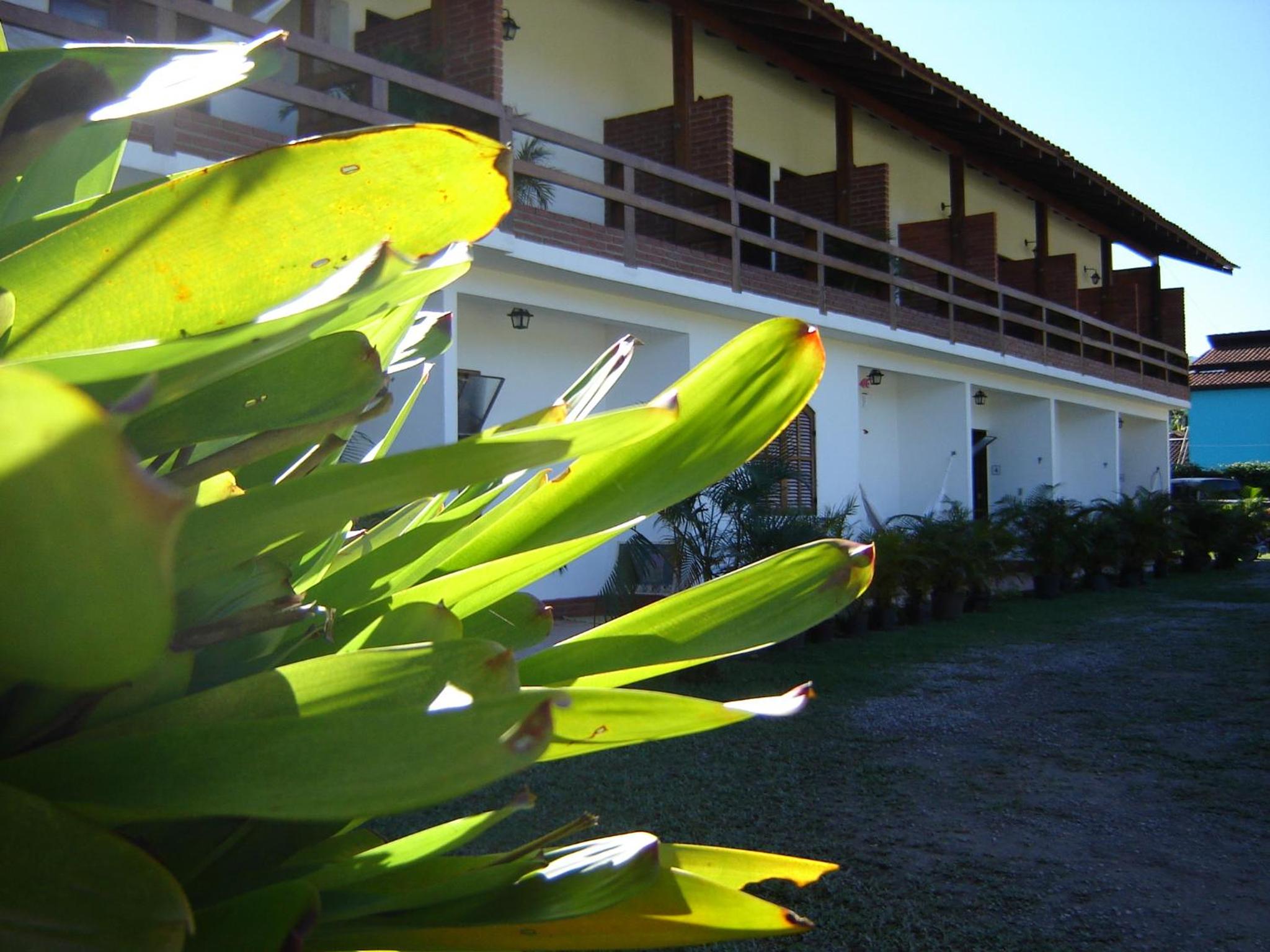 Photo 44