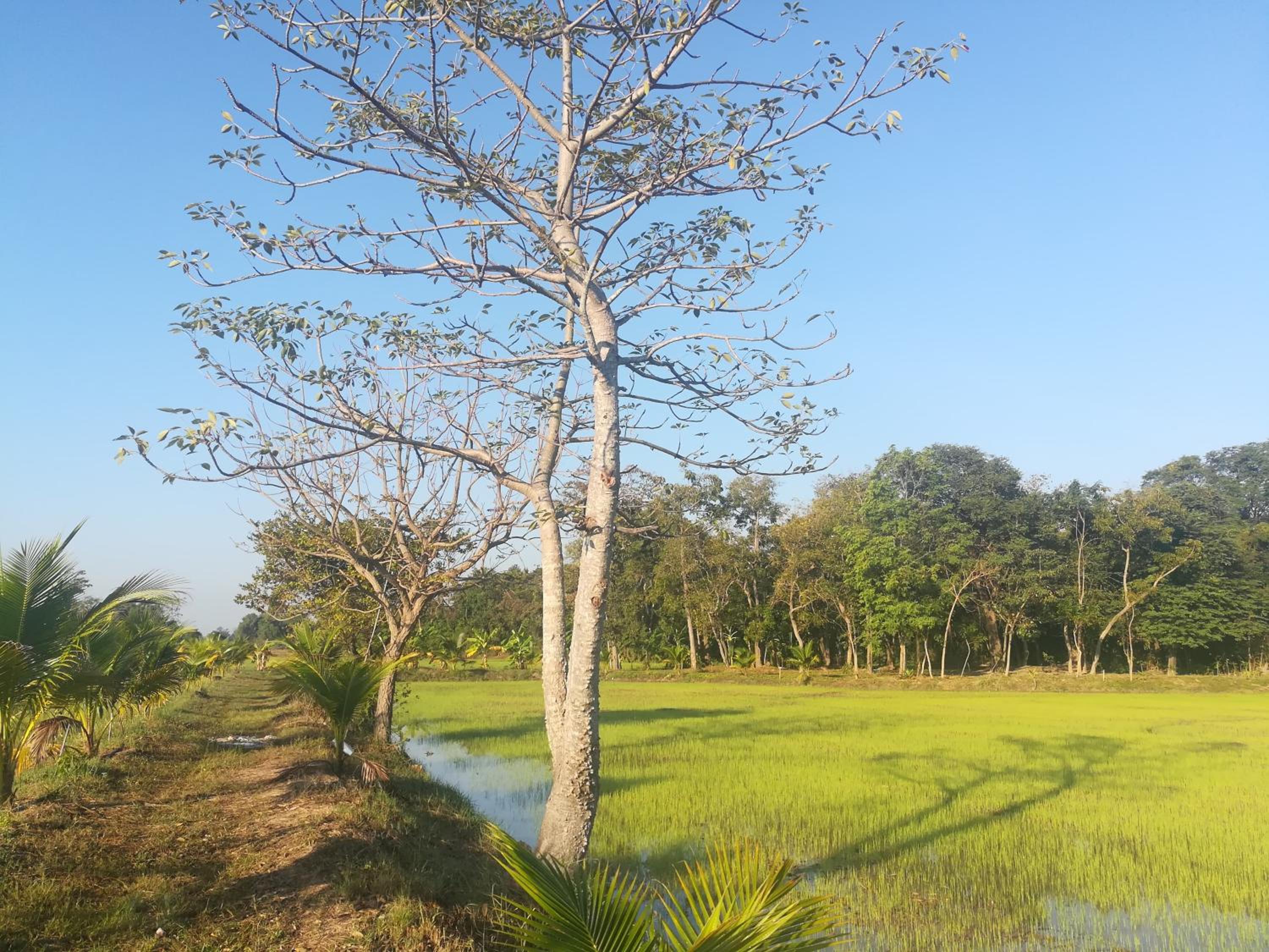BN Resort