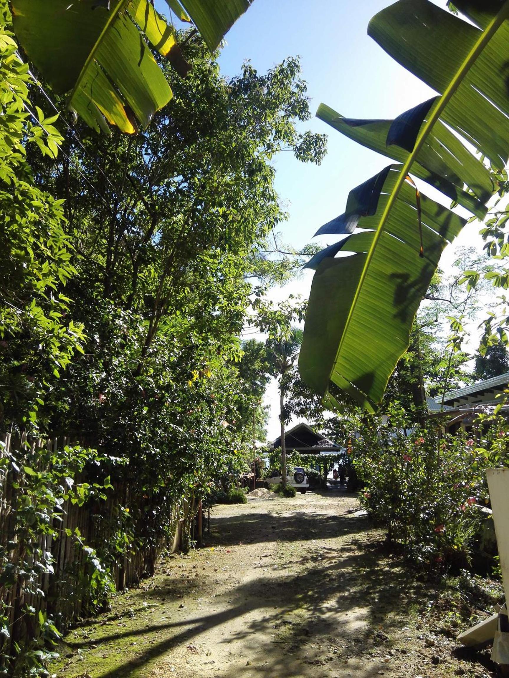 Rene's Resort view 5