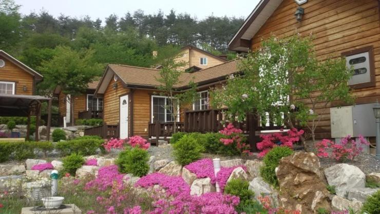 Oraview Pension view 2