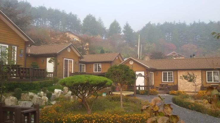 Oraview Pension view 5