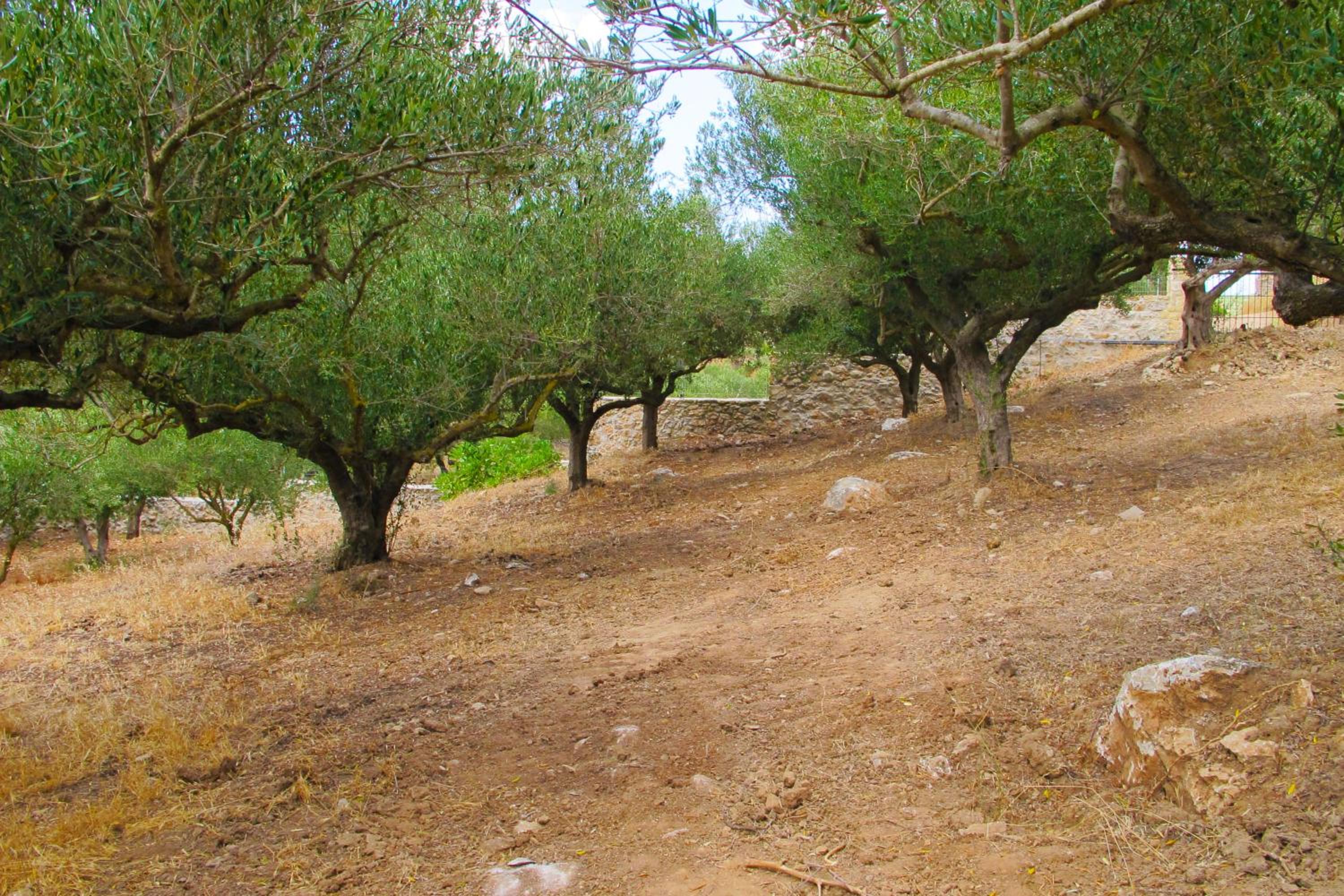 Photo 30