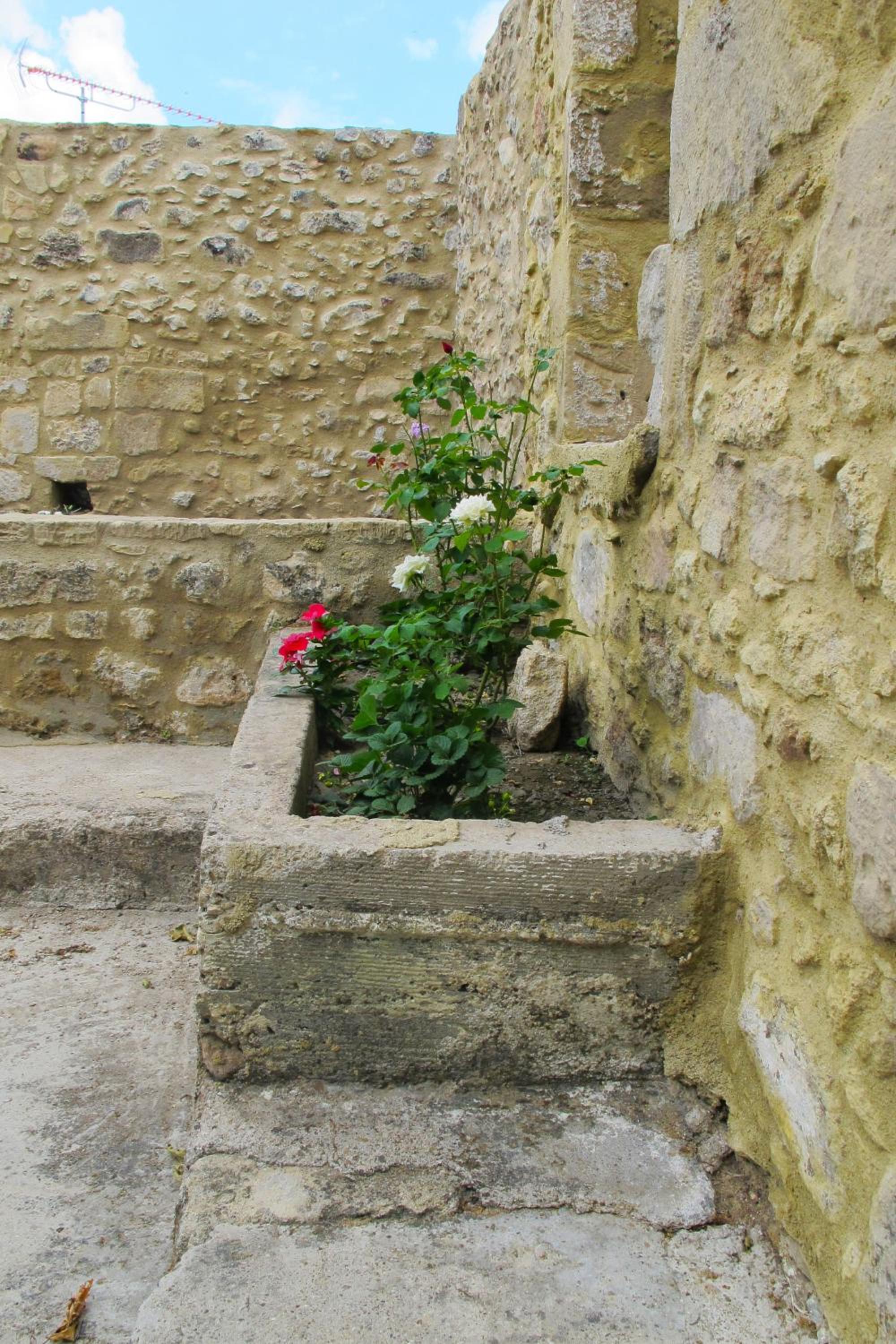 Photo 33