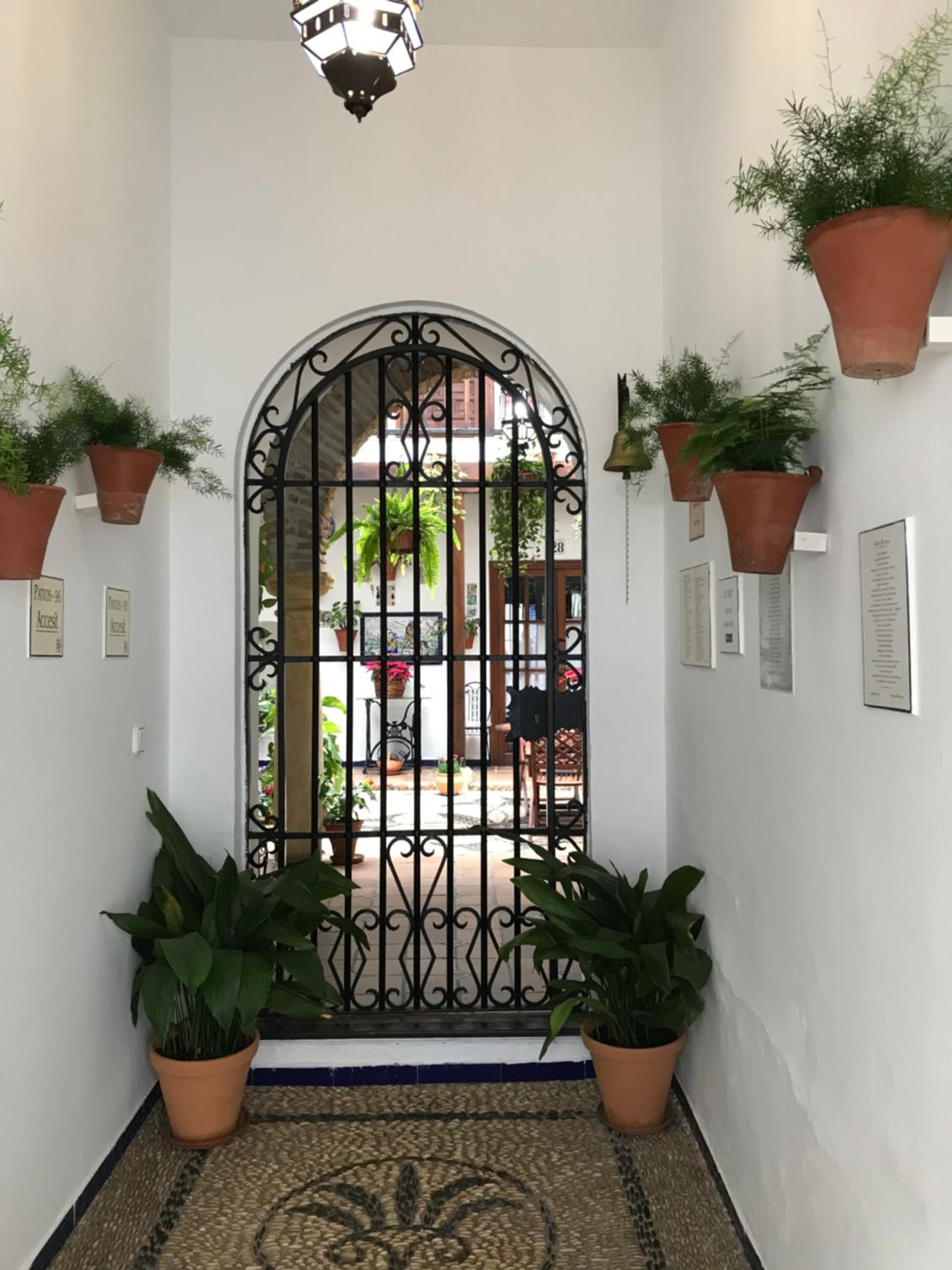 Casa longa view 5