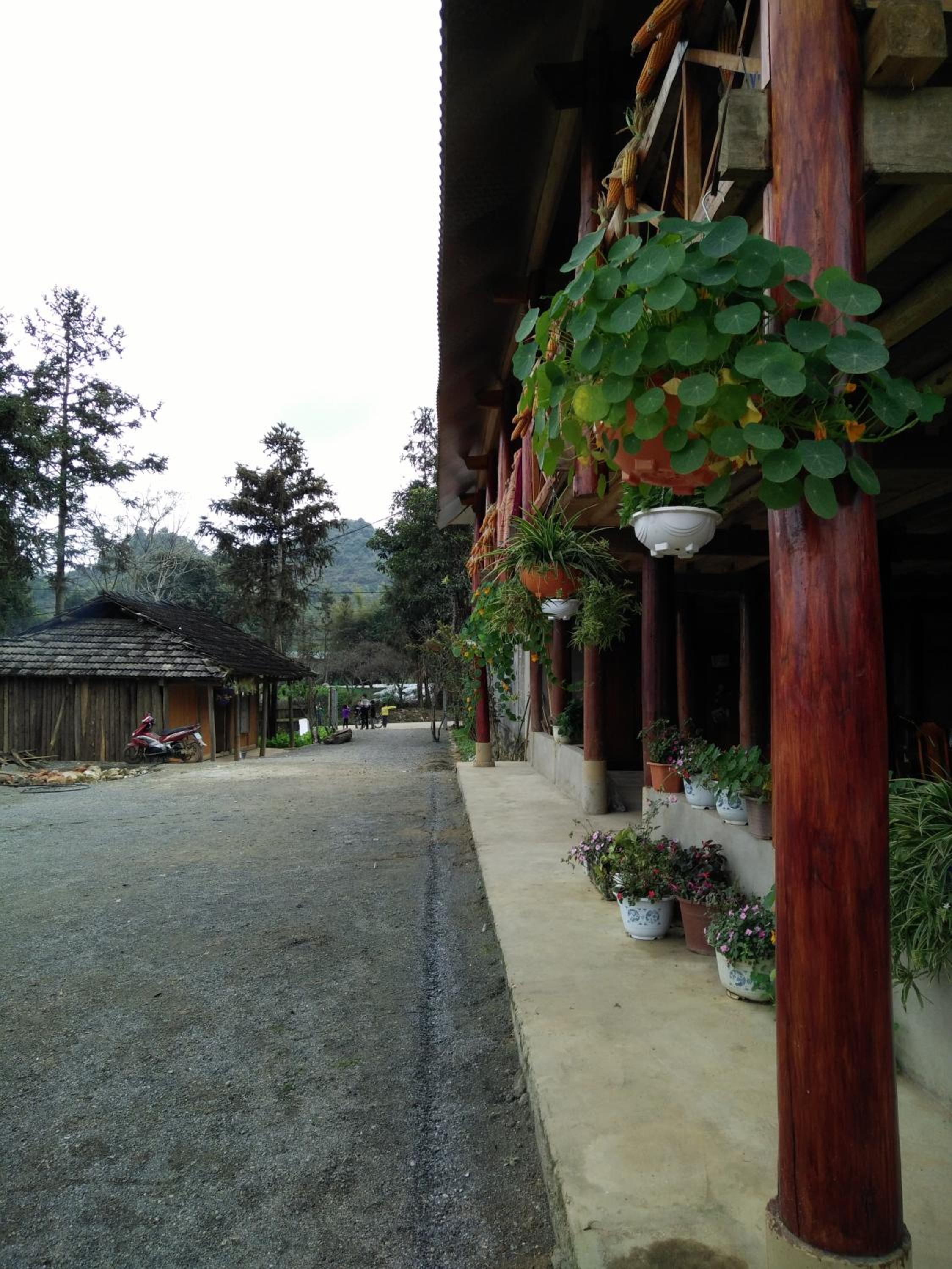 Flower hmong homestay