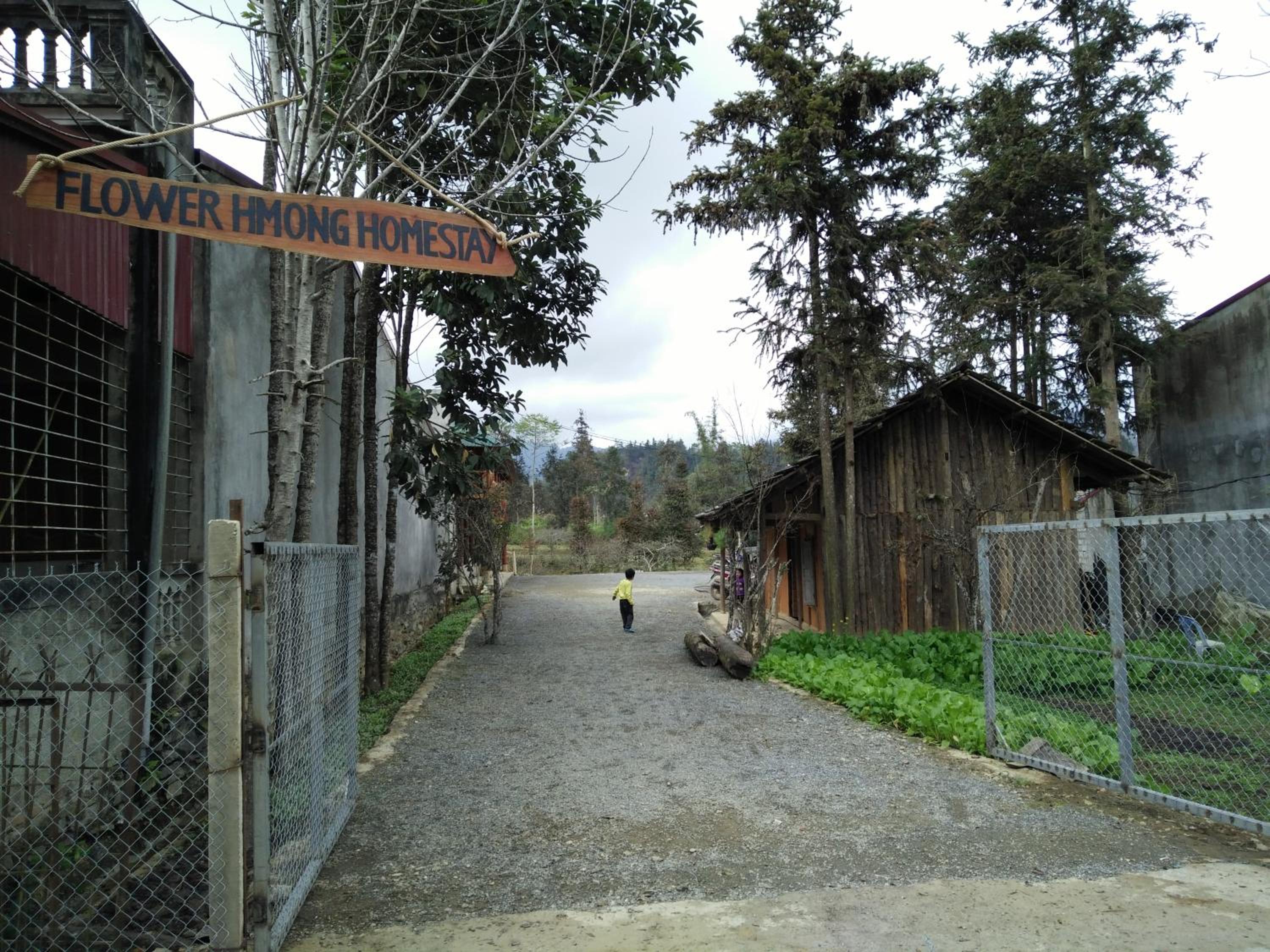 Flower hmong homestay
